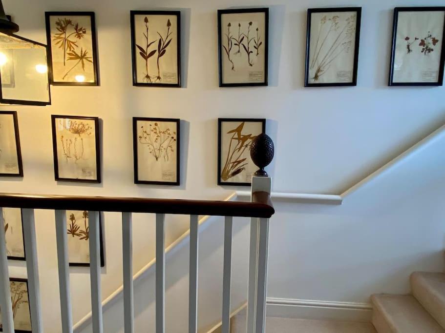 Marlborough Vacations - The Cricketers House - Property Image 13