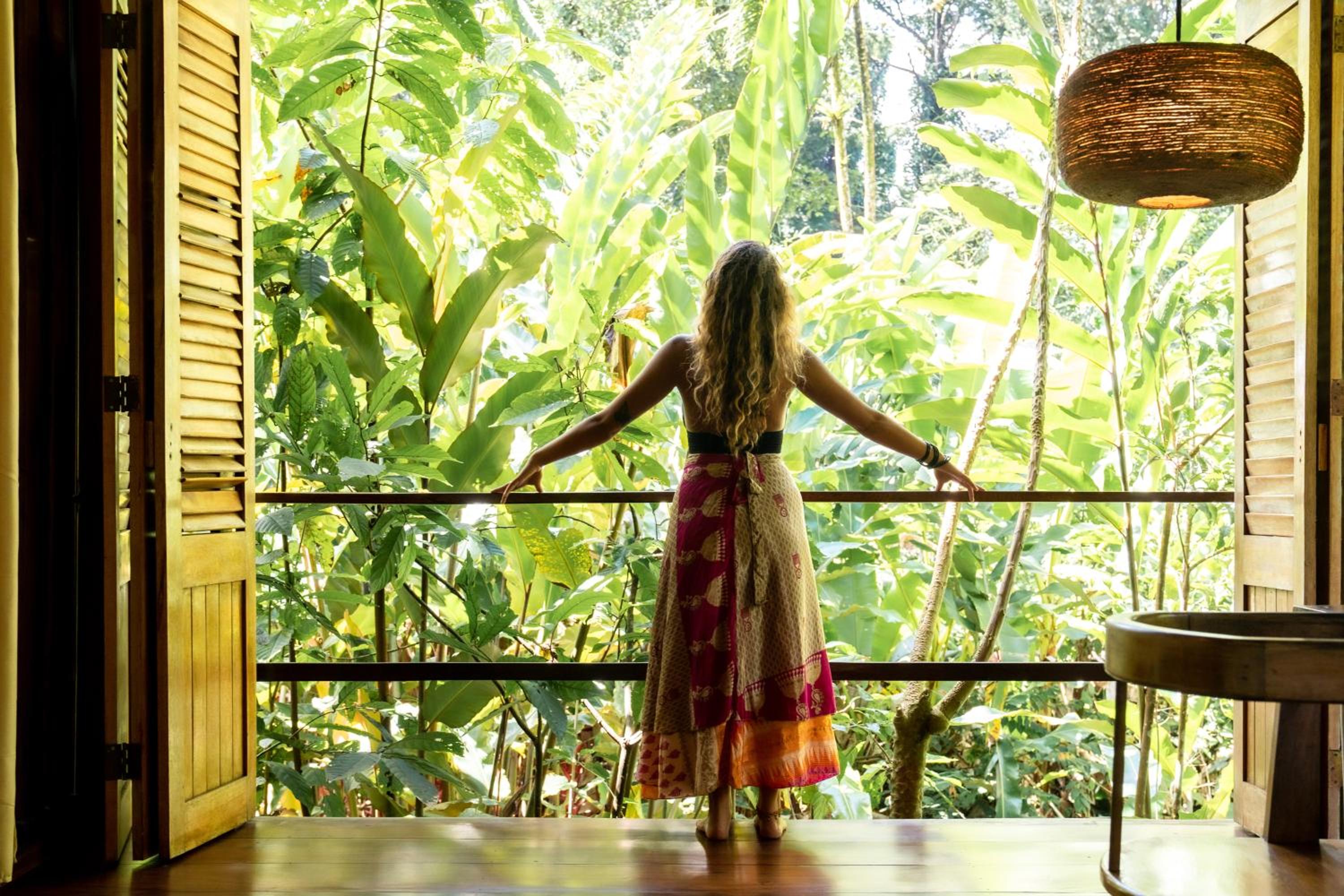 La Loma Jungle Lodge and Chocolate Farm view 4