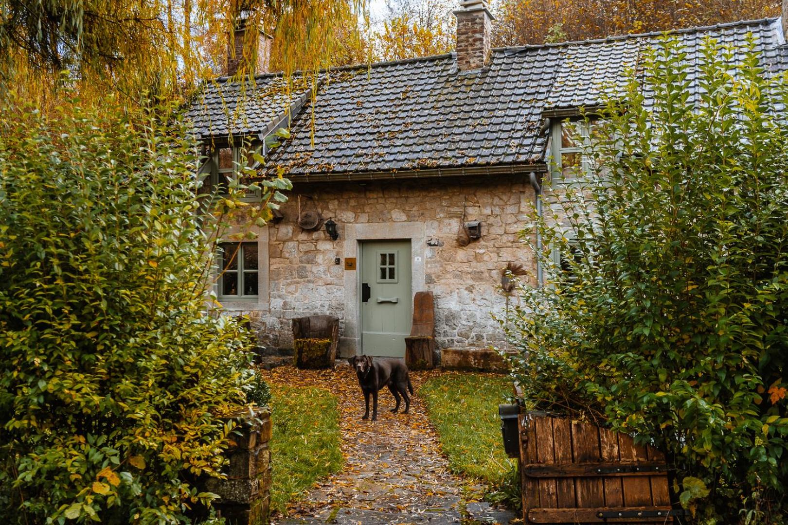 La Petite Foret 17th Cent Cottage near Durbuy