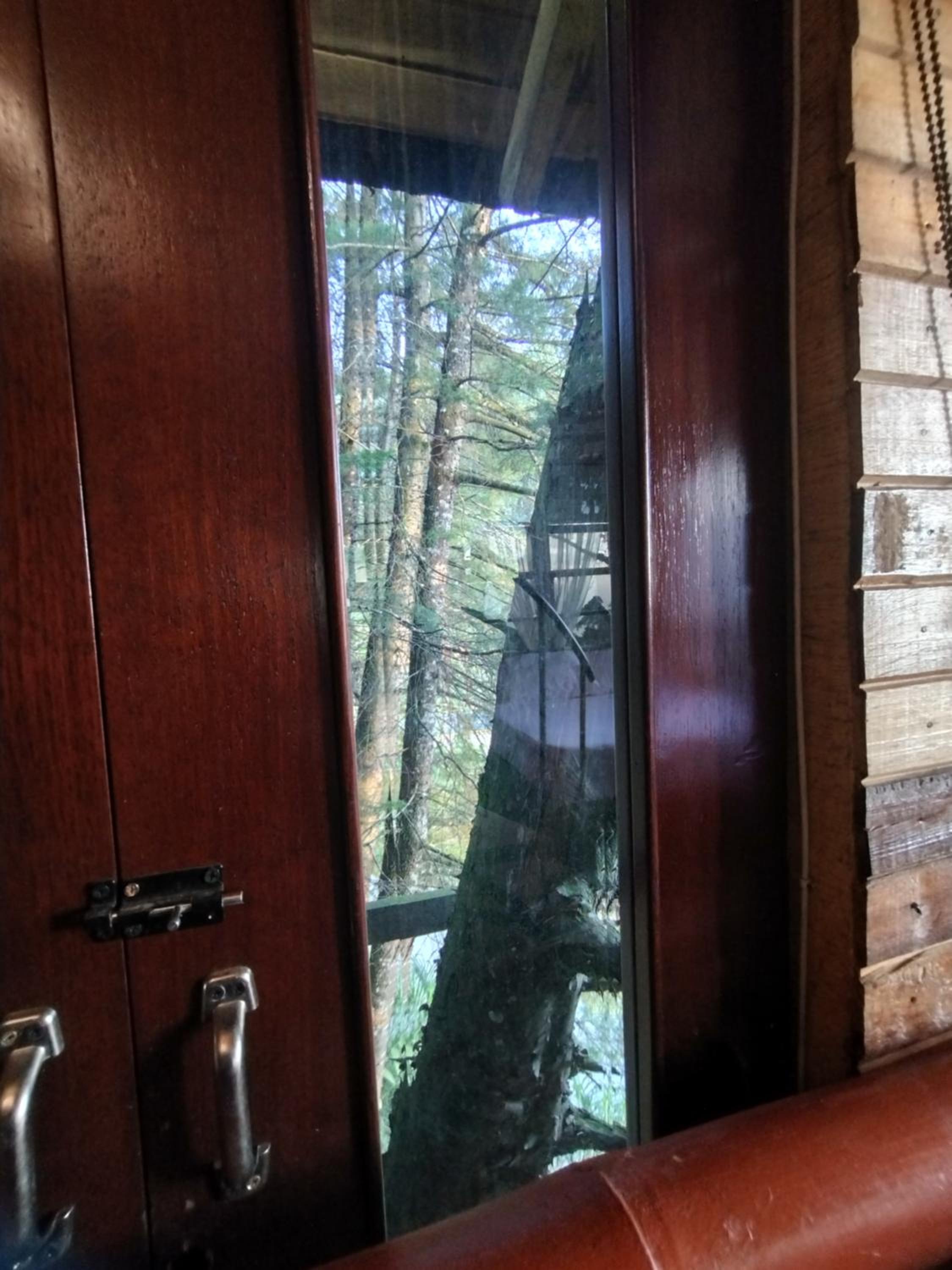 LA cabaña Rosh Pina, hospedaje