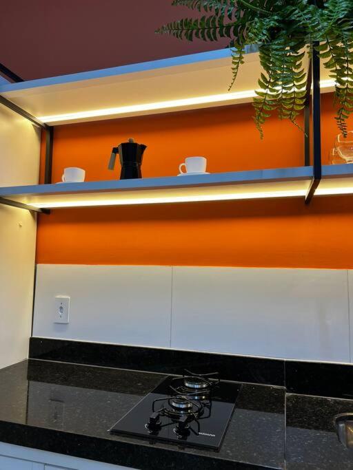 Loft Magnesiana - 800m do Parque das Águas