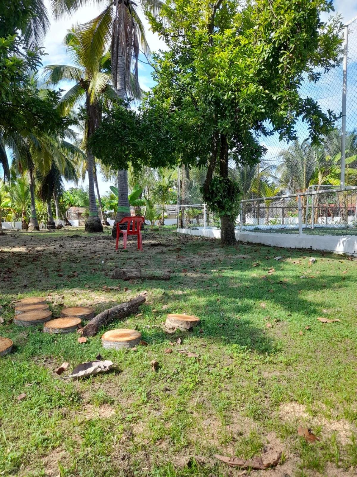 El Rancho D
