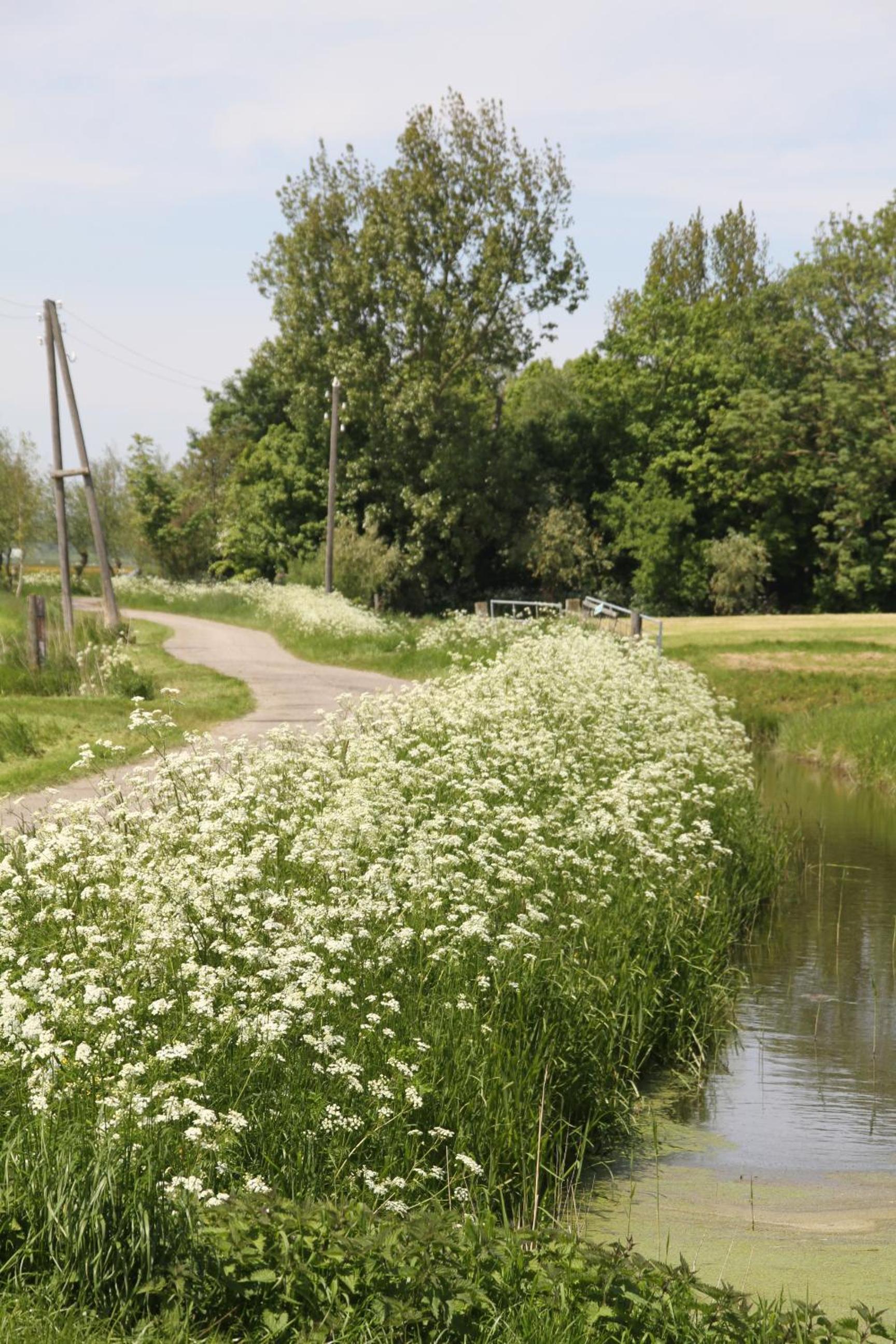 Countryside Eco Natuurhuisjes