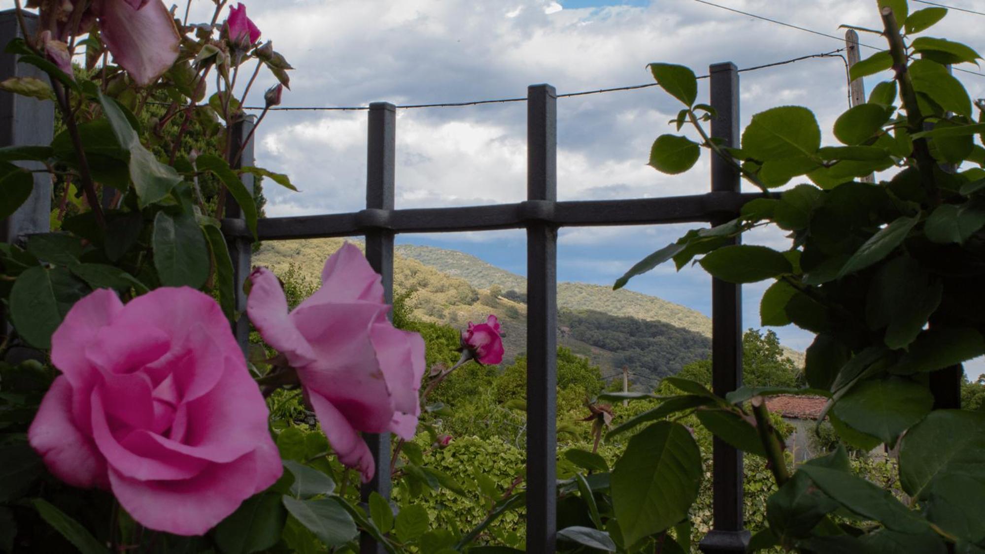 Casa Rural Aguas del Venero