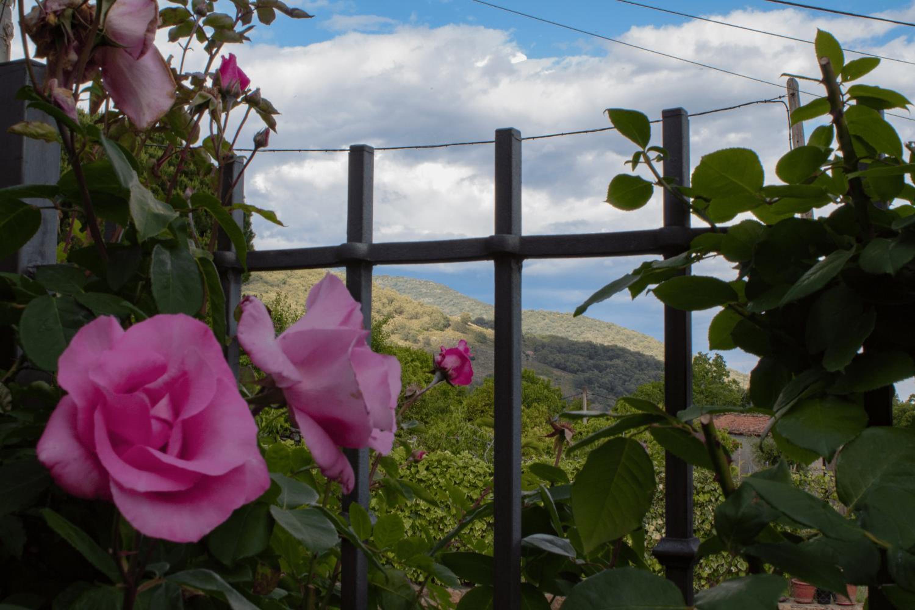 Casa Rural Aguas del Venero