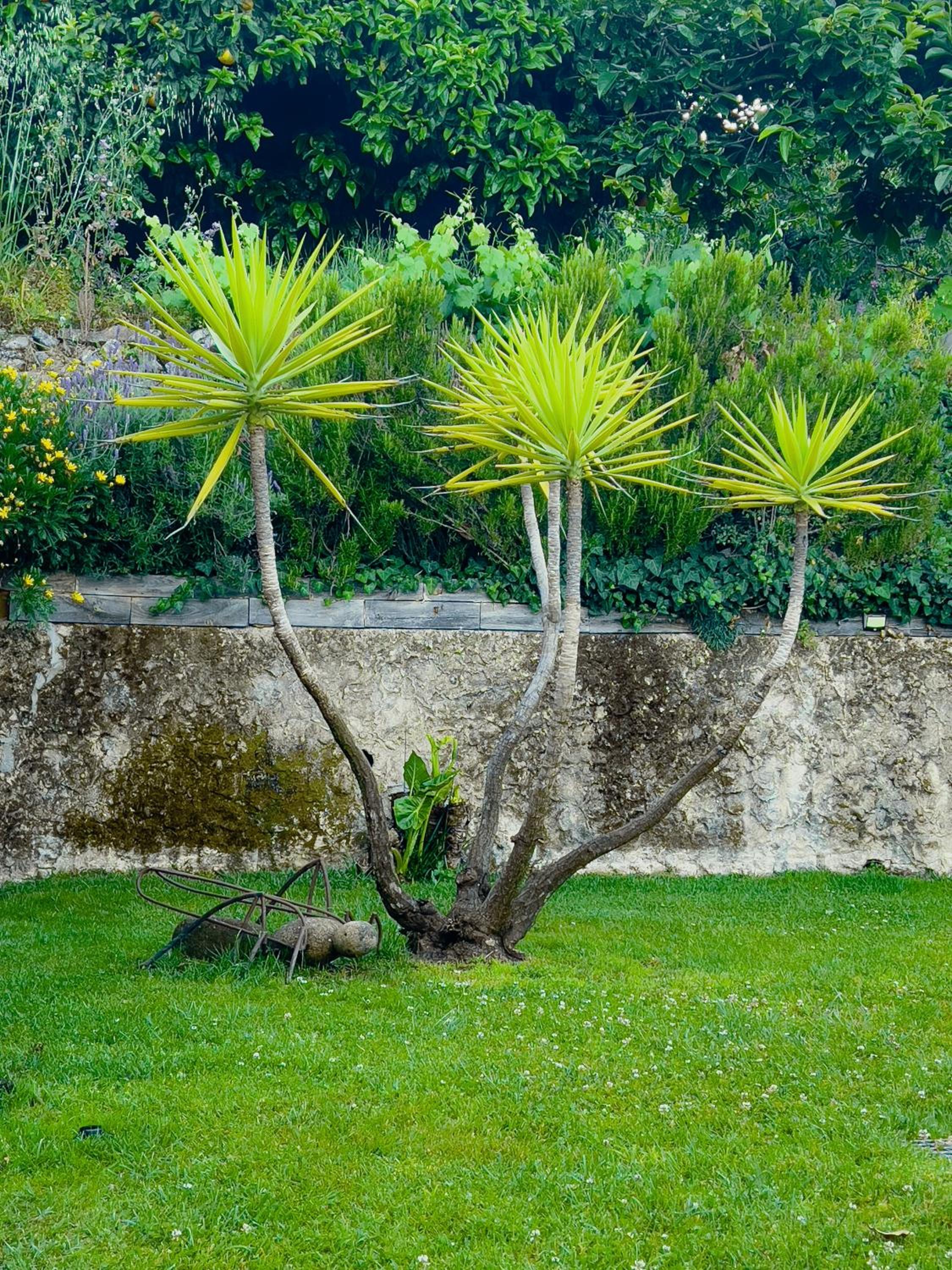 Casa Rural Aguas del Venero