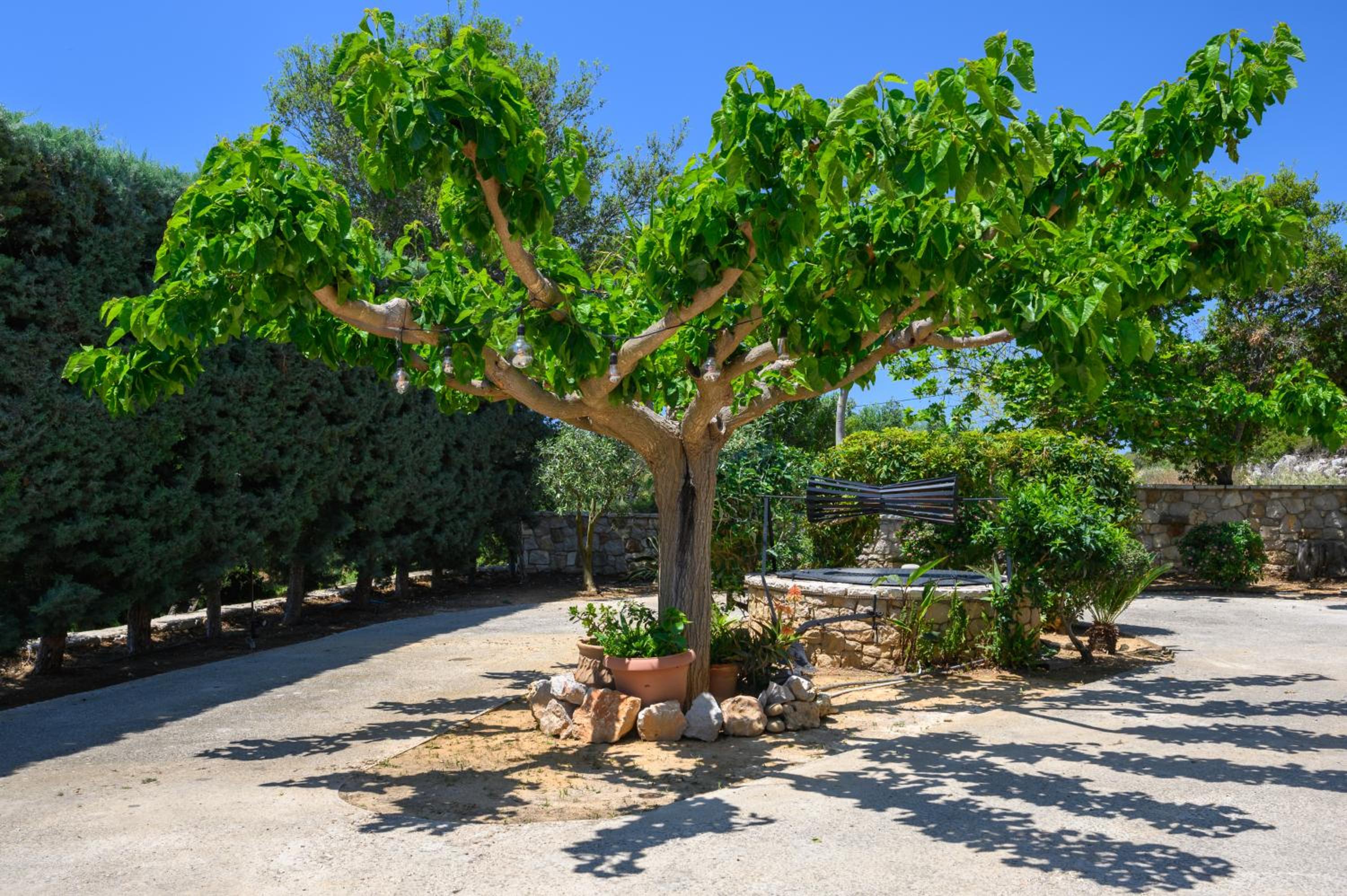 Villa Vicanti