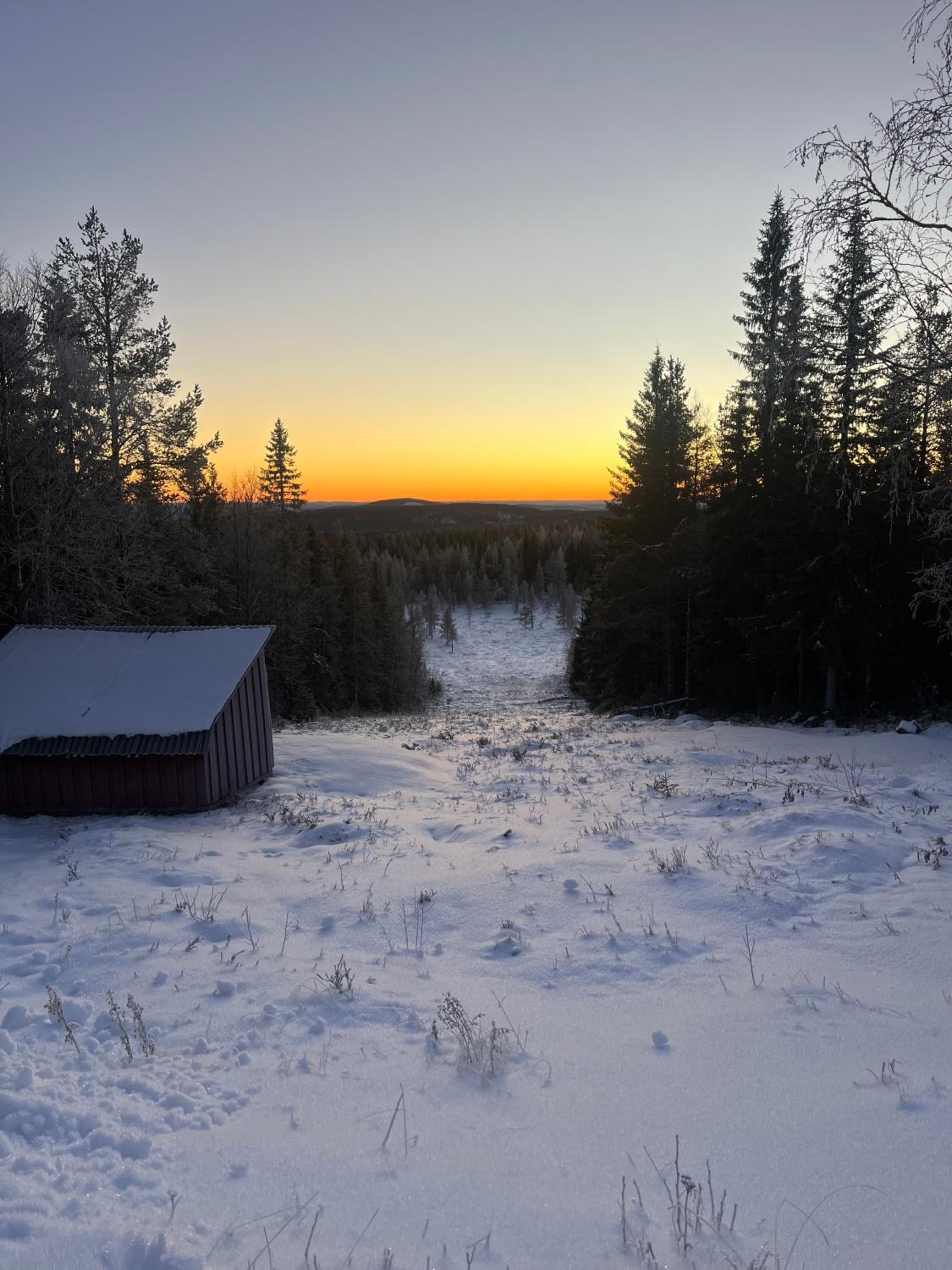 Kriberg Wild Lappland