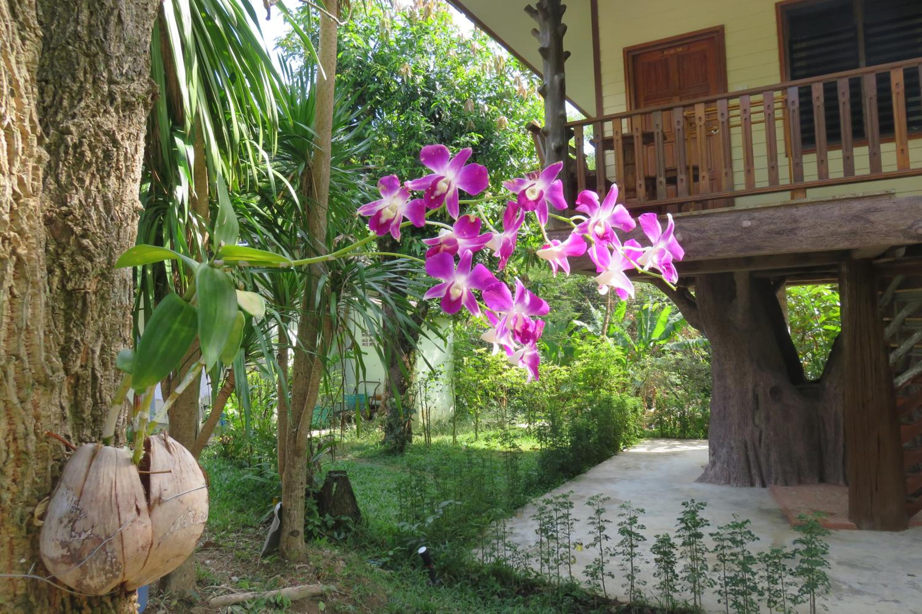 Macura Resort