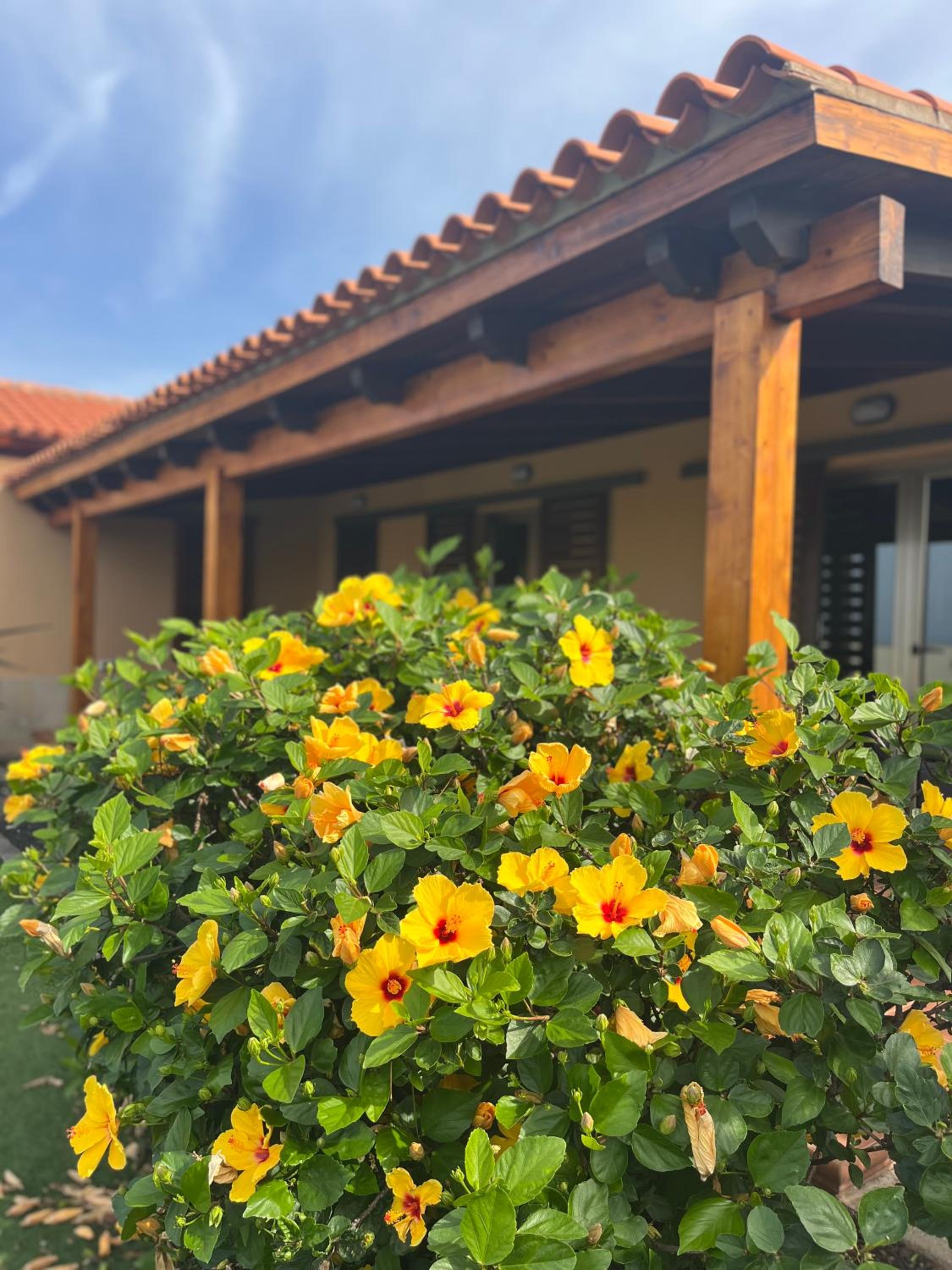 Casa Punta del Viento Tenerife