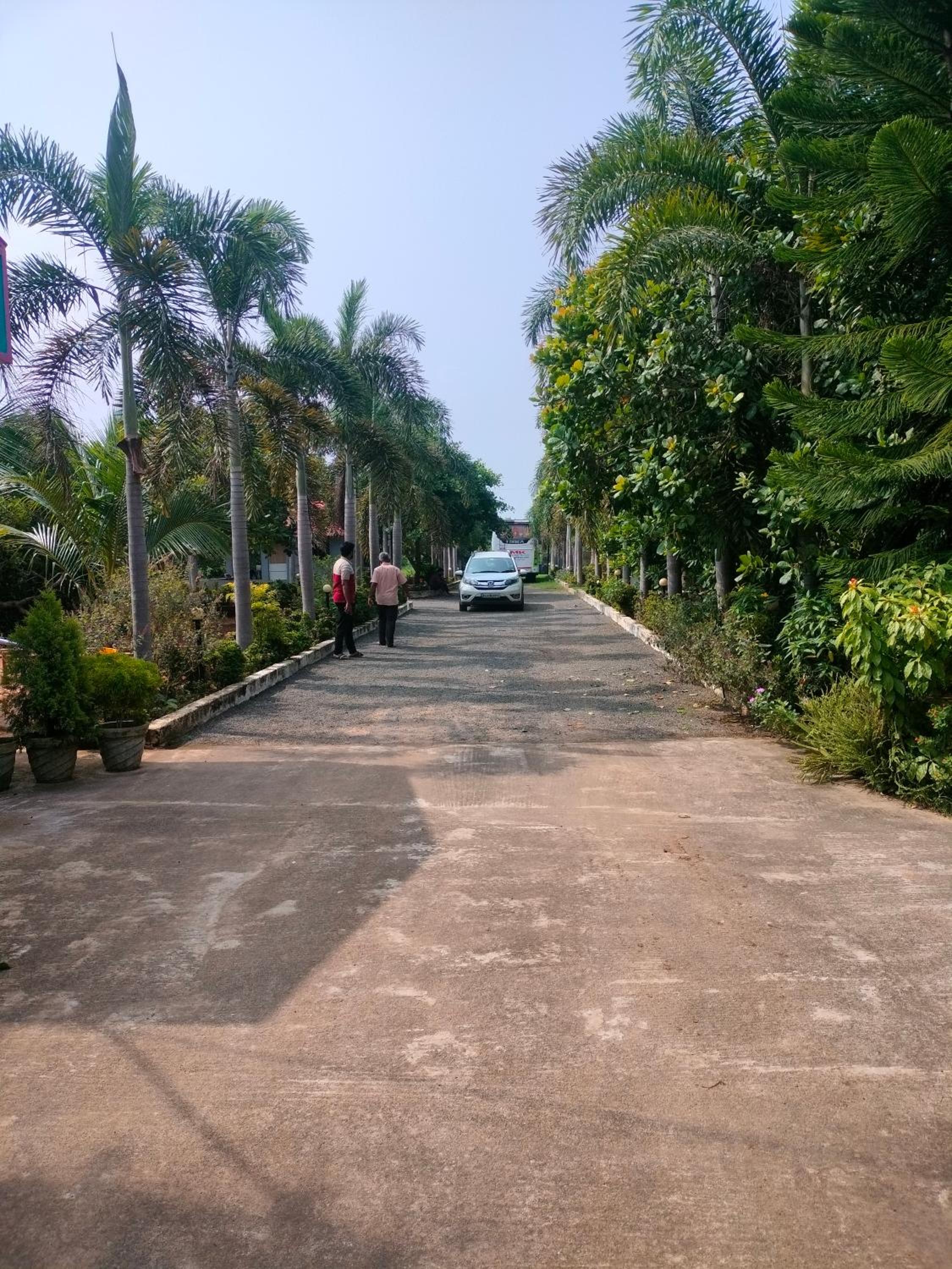 Paradise Forest Resort view 2