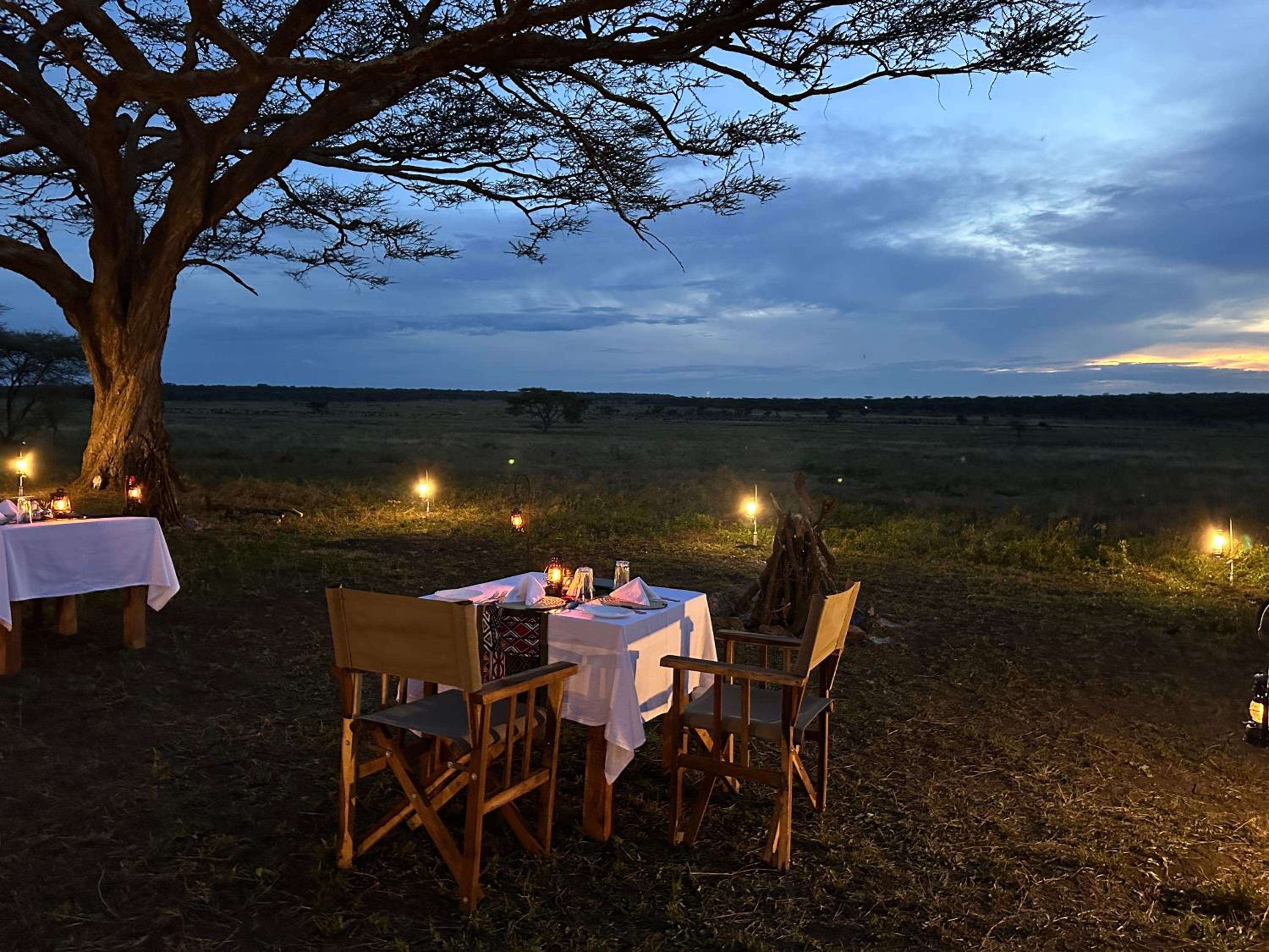 Africa Safari Serengeti Kusini