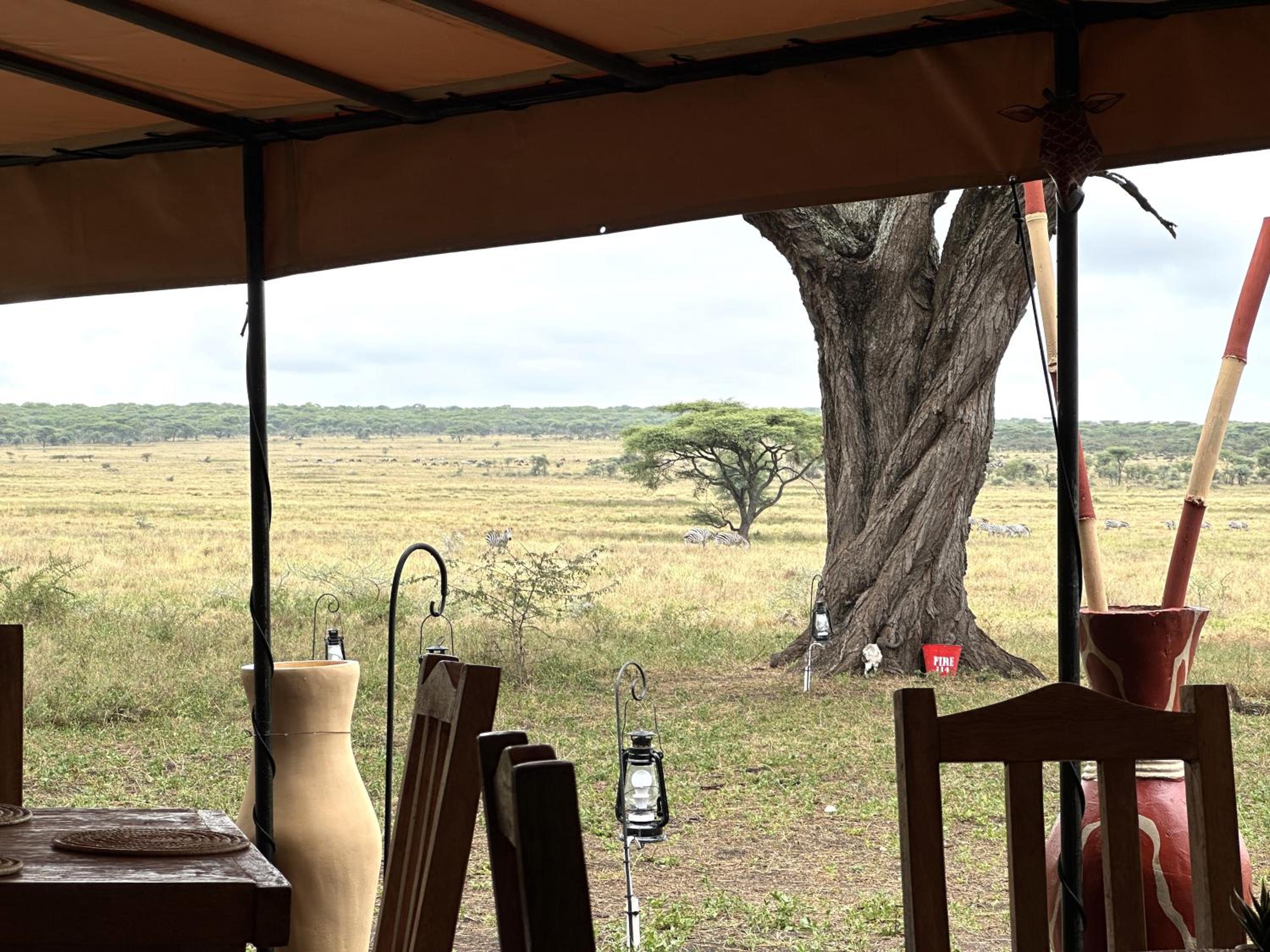 Africa Safari Serengeti Kusini