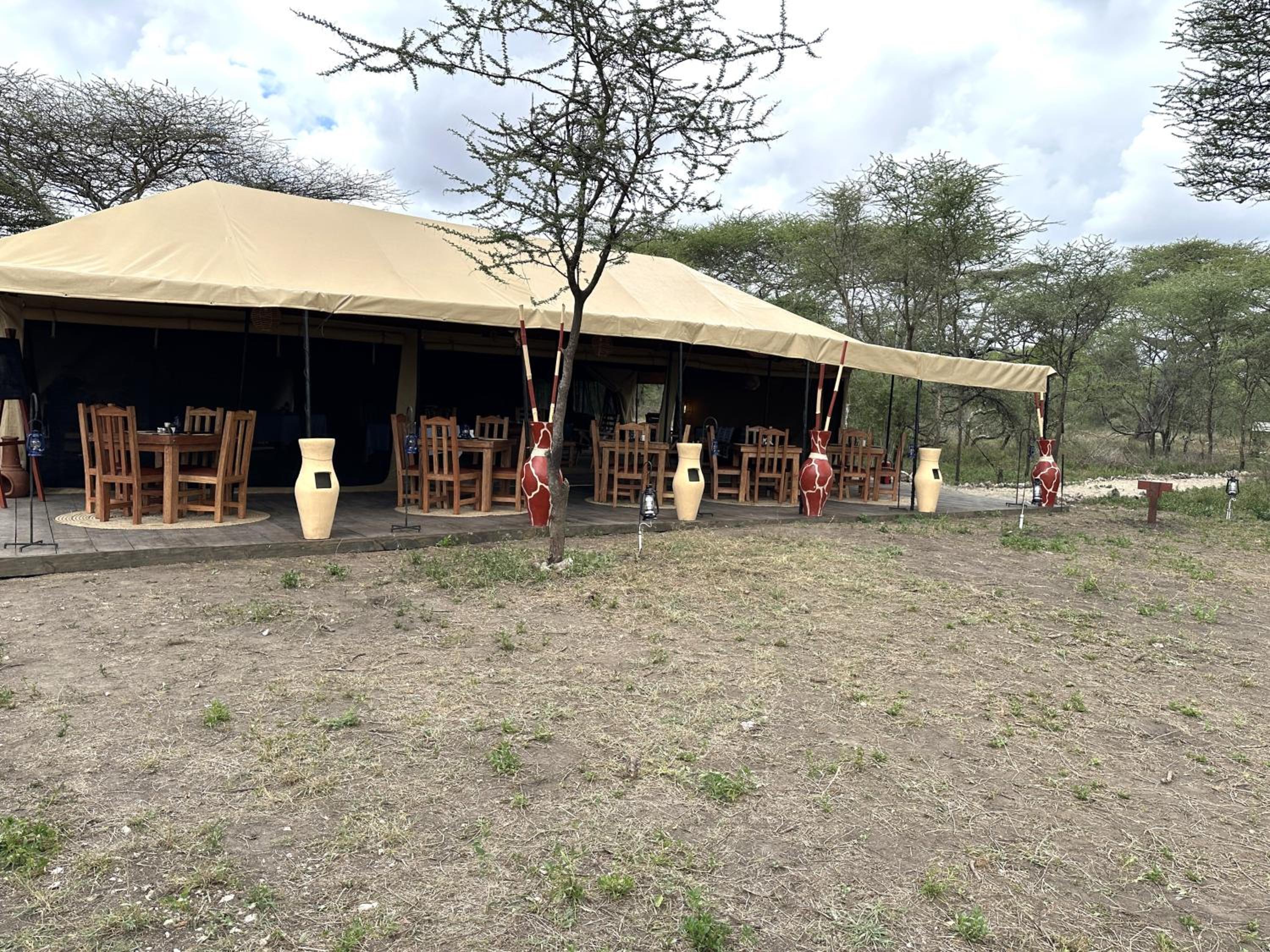 Africa Safari Serengeti Kusini