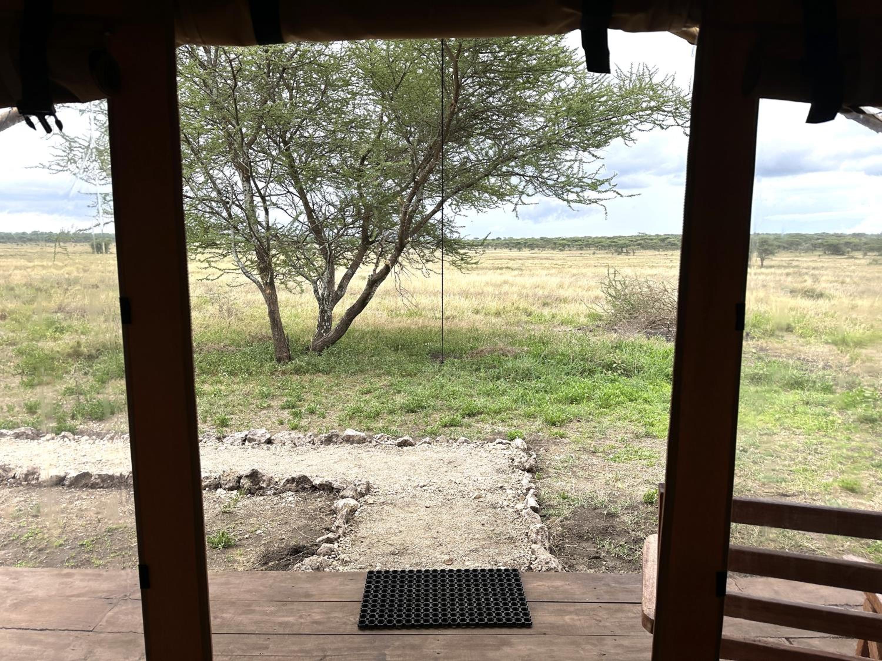 Africa Safari Serengeti Kusini