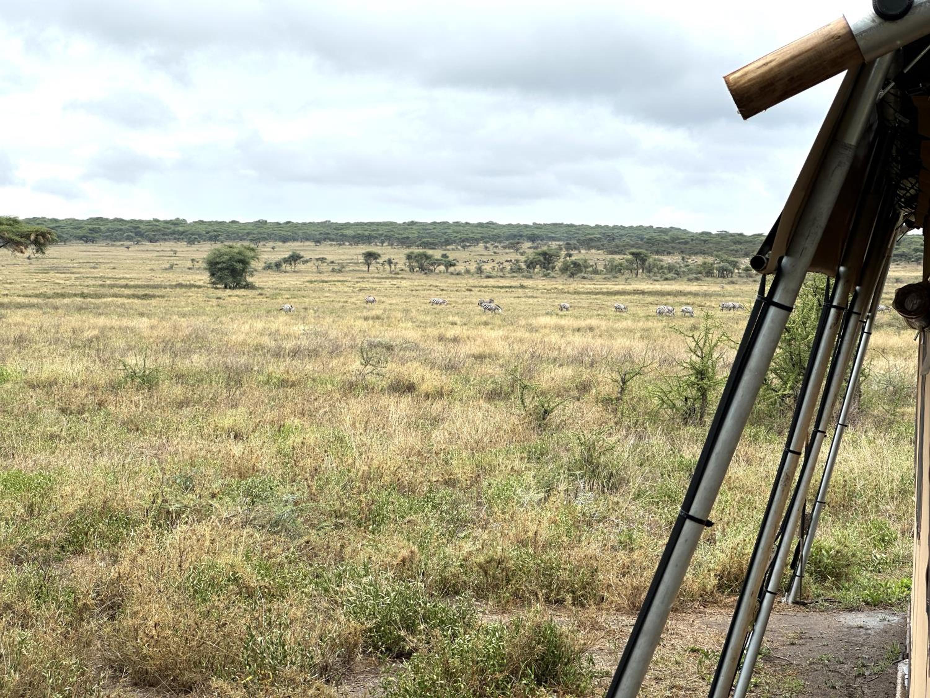 Africa Safari Serengeti Kusini