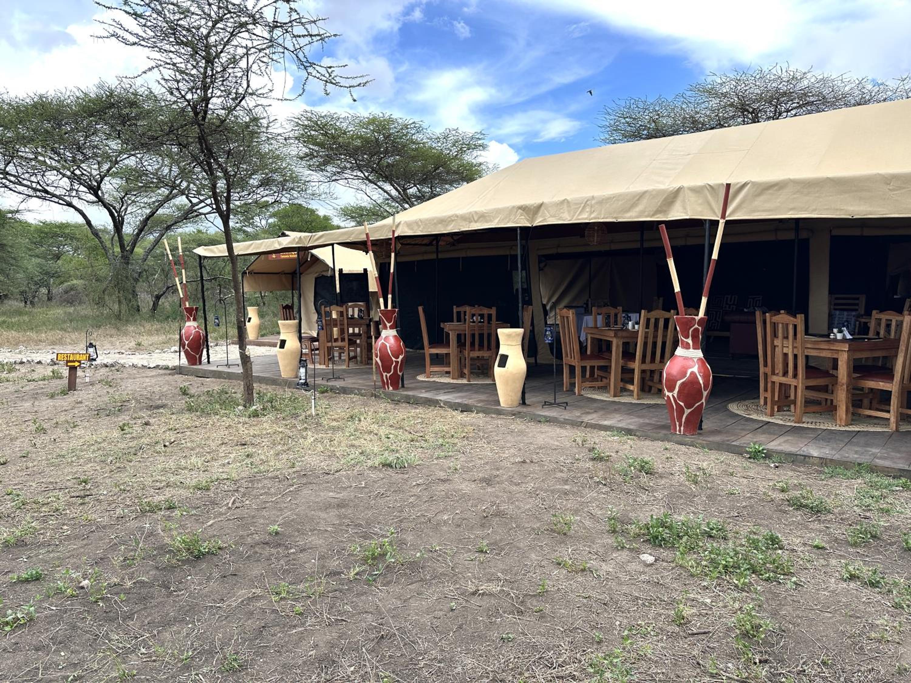 Africa Safari Serengeti Kusini