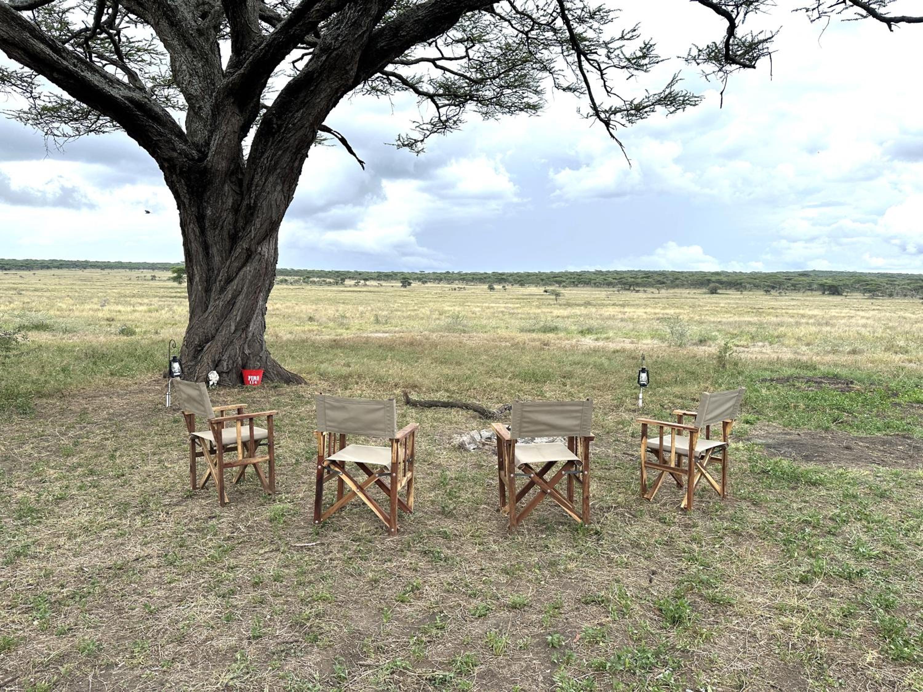 Africa Safari Serengeti Kusini