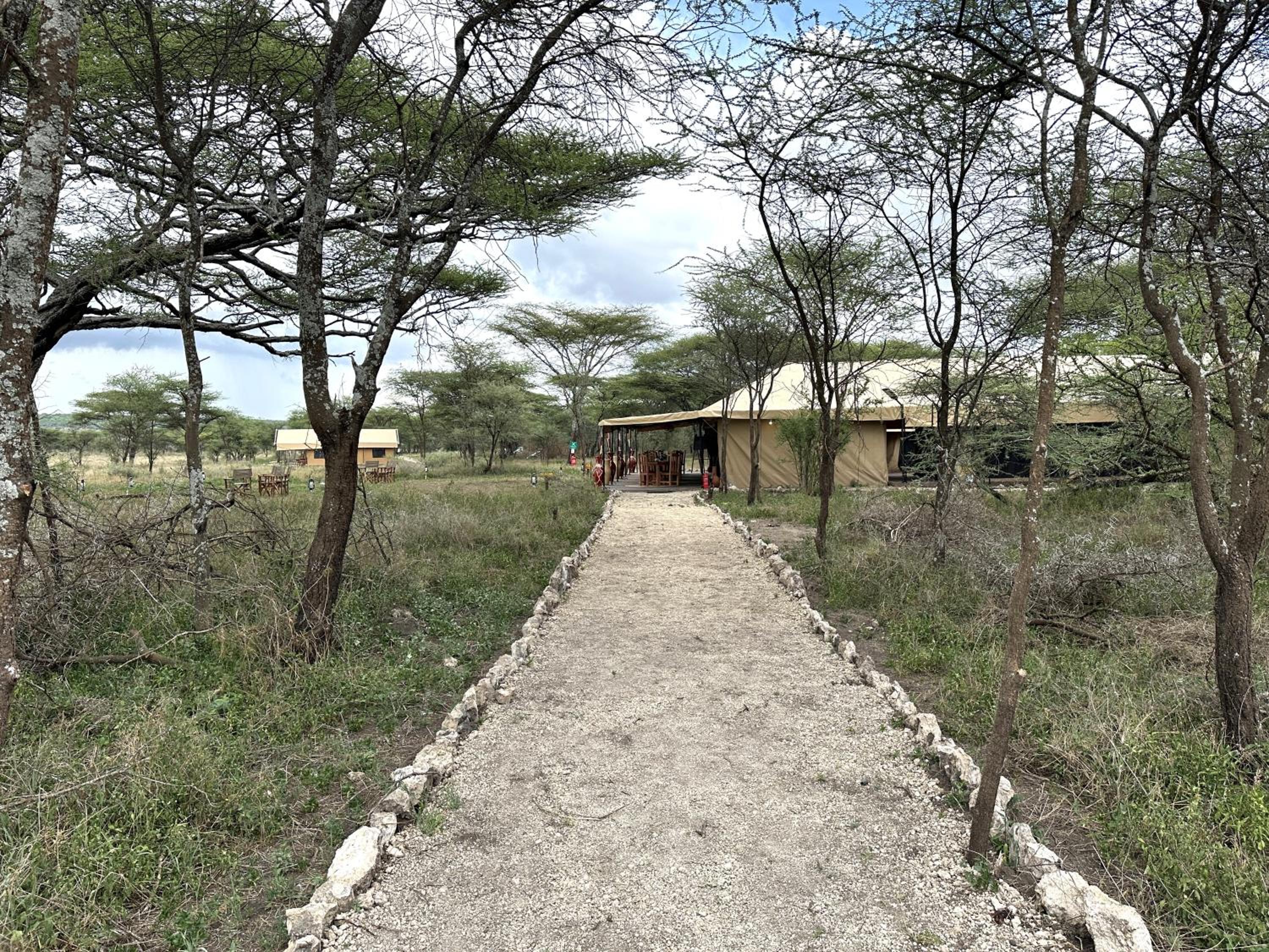 Africa Safari Serengeti Kusini