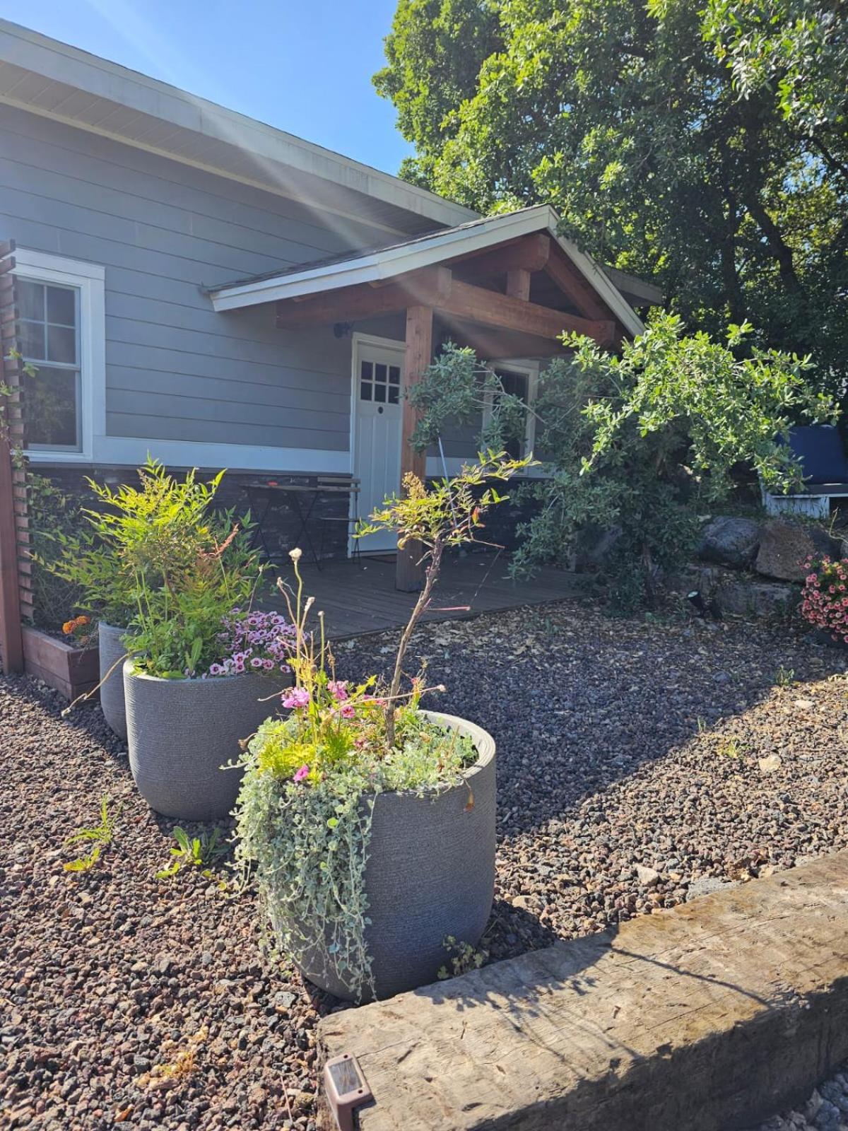 Zini House