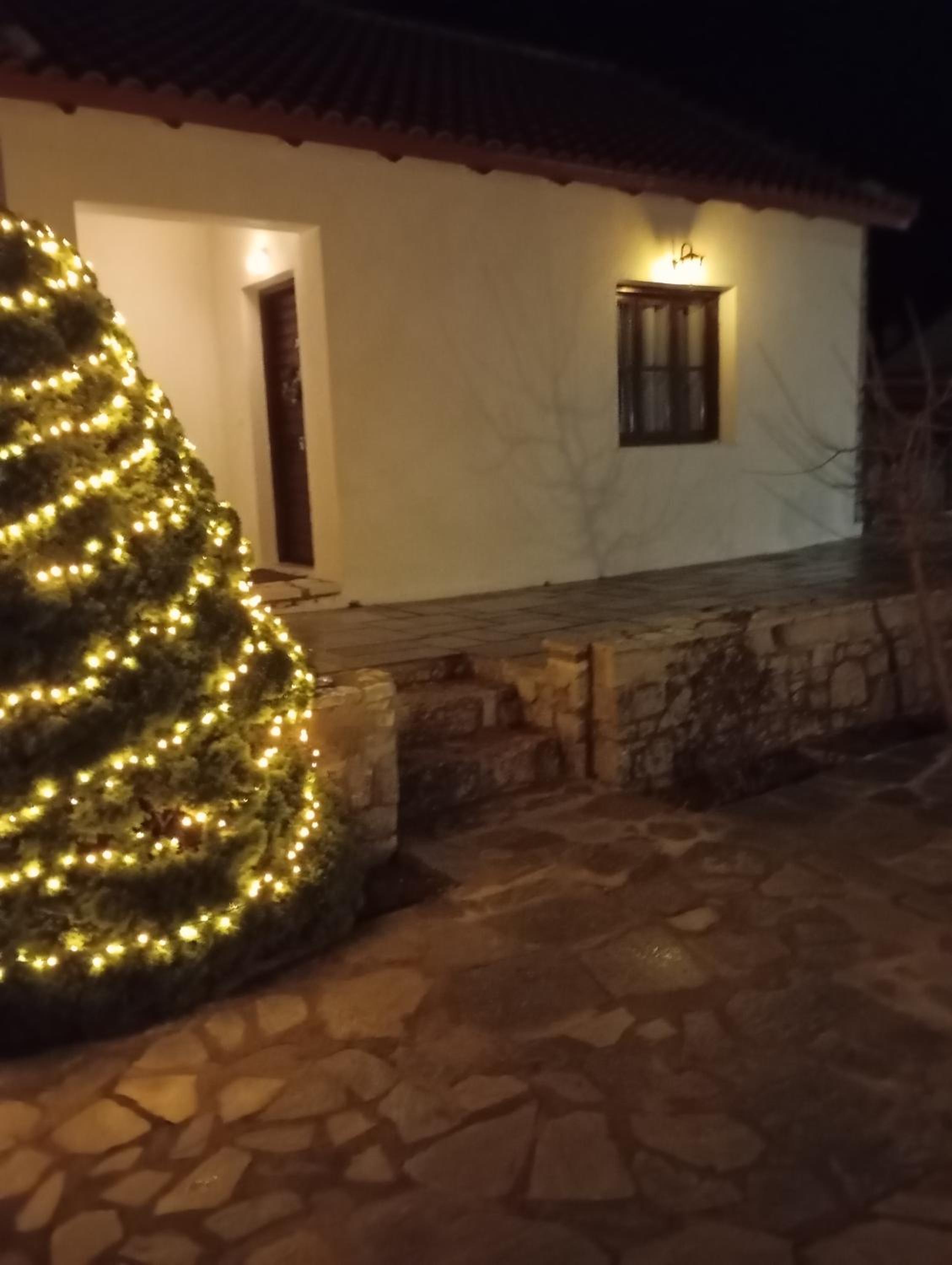 Alexander Houses livadi Arachovas photo 3