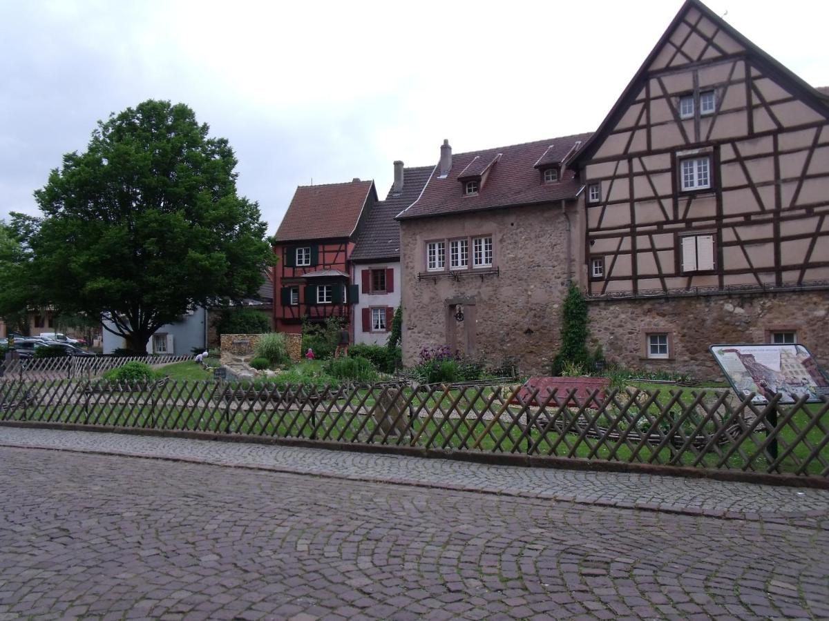 Apt. La Grenouillère De Turckheim view 3