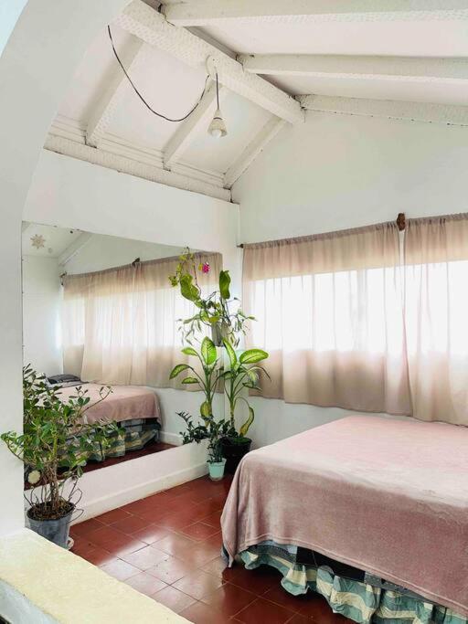 Apart El Altillo, loft ambientes abiertos 6 pax en Cataratas pileta compartida