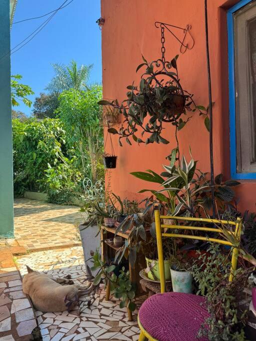 Apart El Altillo, loft ambientes abiertos 6 pax en Cataratas pileta compartida