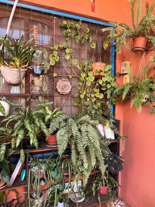 Apart El Altillo, loft ambientes abiertos 6 pax en Cataratas pileta compartida