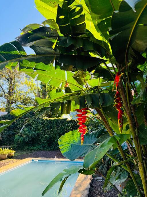 Apart El Altillo, loft ambientes abiertos 6 pax en Cataratas pileta compartida