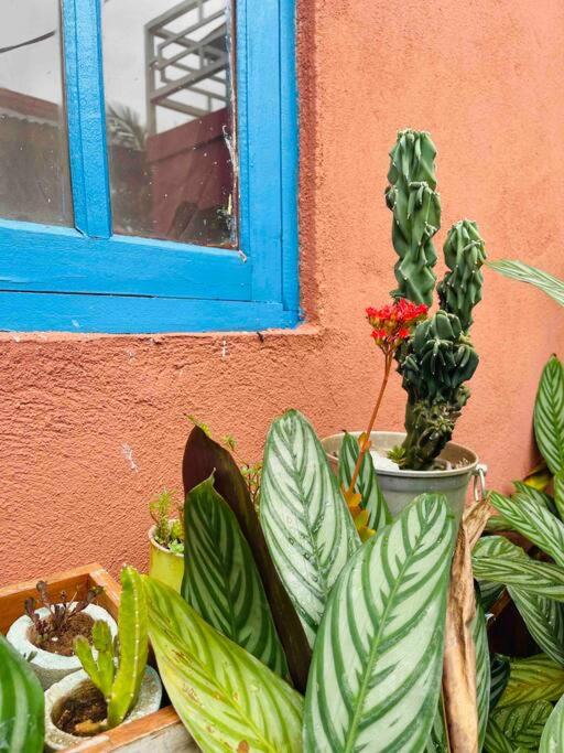 Apart El Altillo, loft ambientes abiertos 6 pax en Cataratas pileta compartida