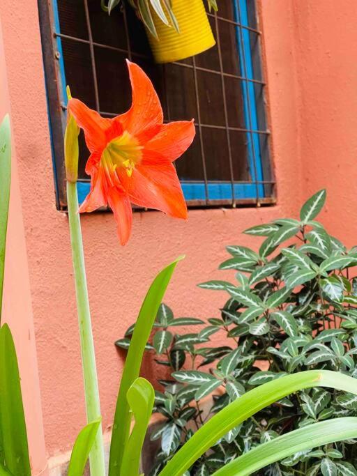 Apart El Altillo, loft ambientes abiertos 6 pax en Cataratas pileta compartida