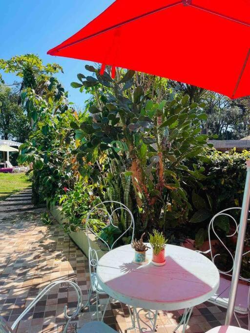 Apart El Altillo, loft ambientes abiertos 6 pax en Cataratas pileta compartida
