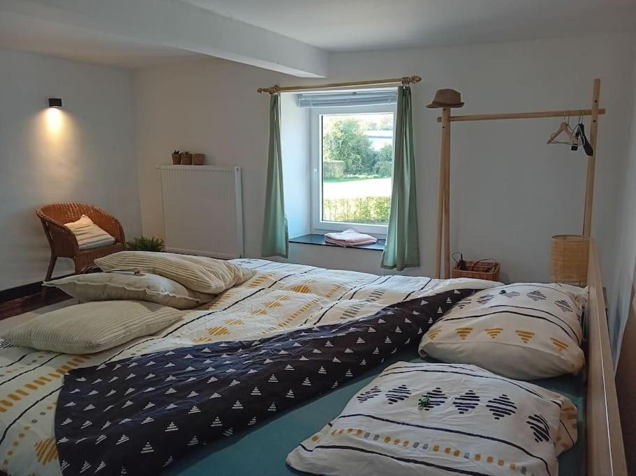 Cozy home near durbuy