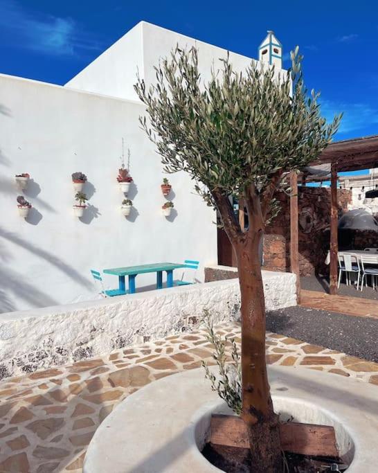 Villa Alfonso NEW, with local traditional style