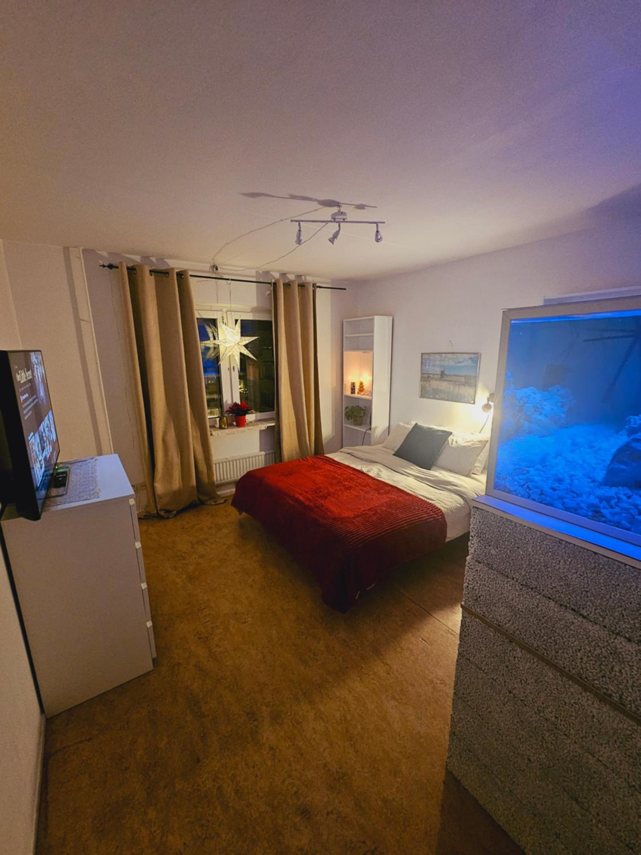 Central Room with Private Entrance and Ensuite Bathroom view 3