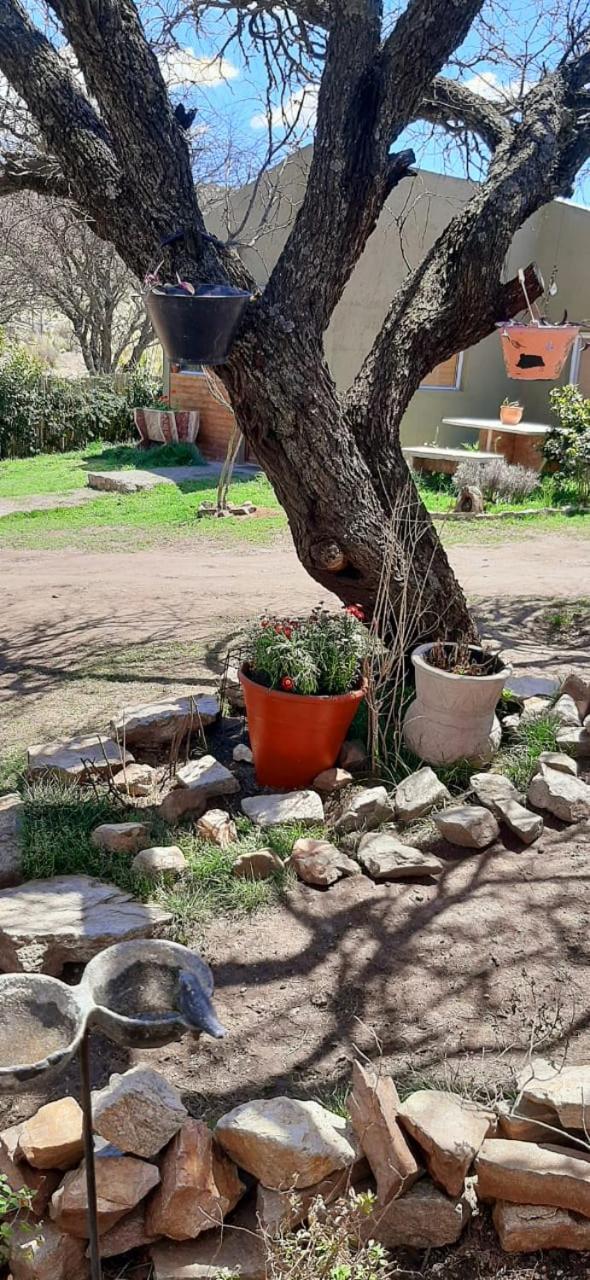 Cabañas de campo - Rancho Zamba Peperina