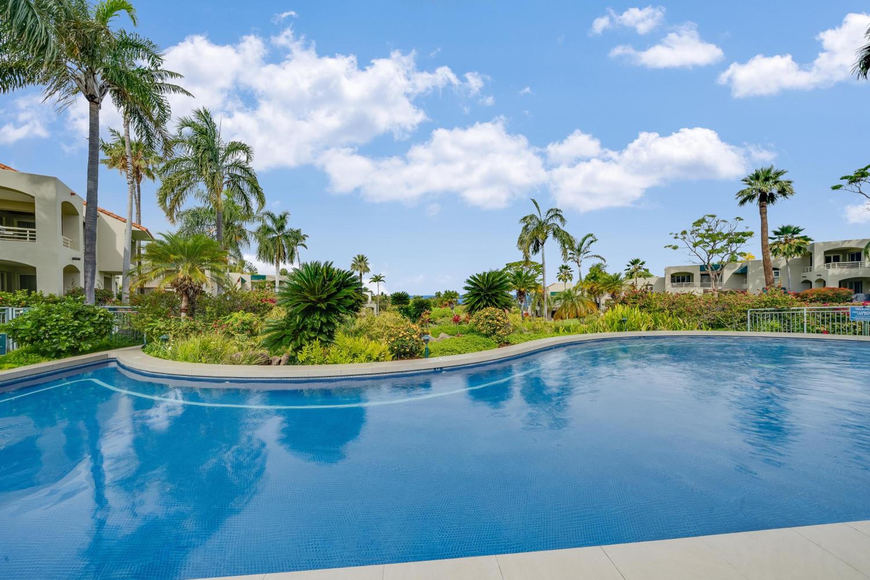 Palms at Wailea 2108 · PAW 2108 Remodeled Wailea Condo w AC Infi