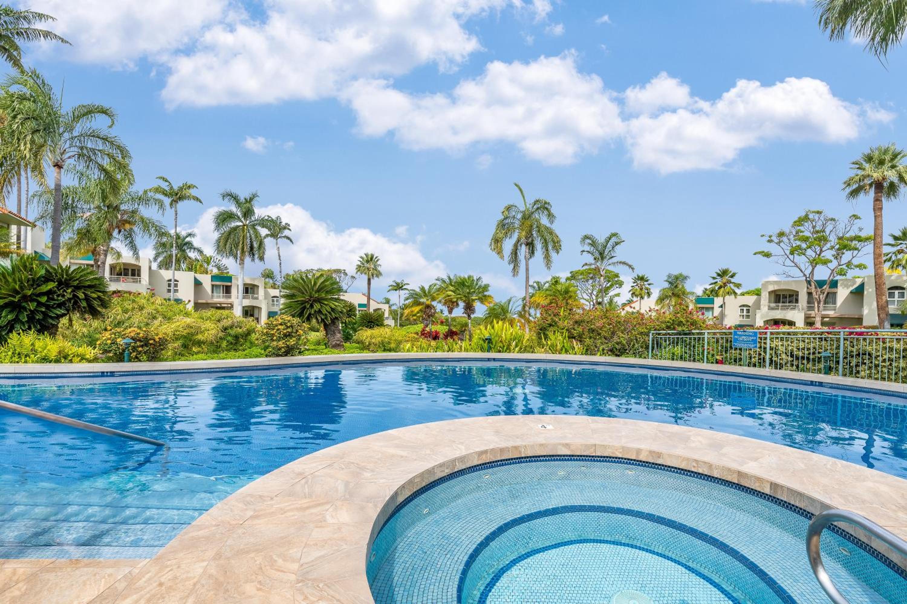 Palms at Wailea 2108 · PAW 2108 Remodeled Wailea Condo w AC Infi