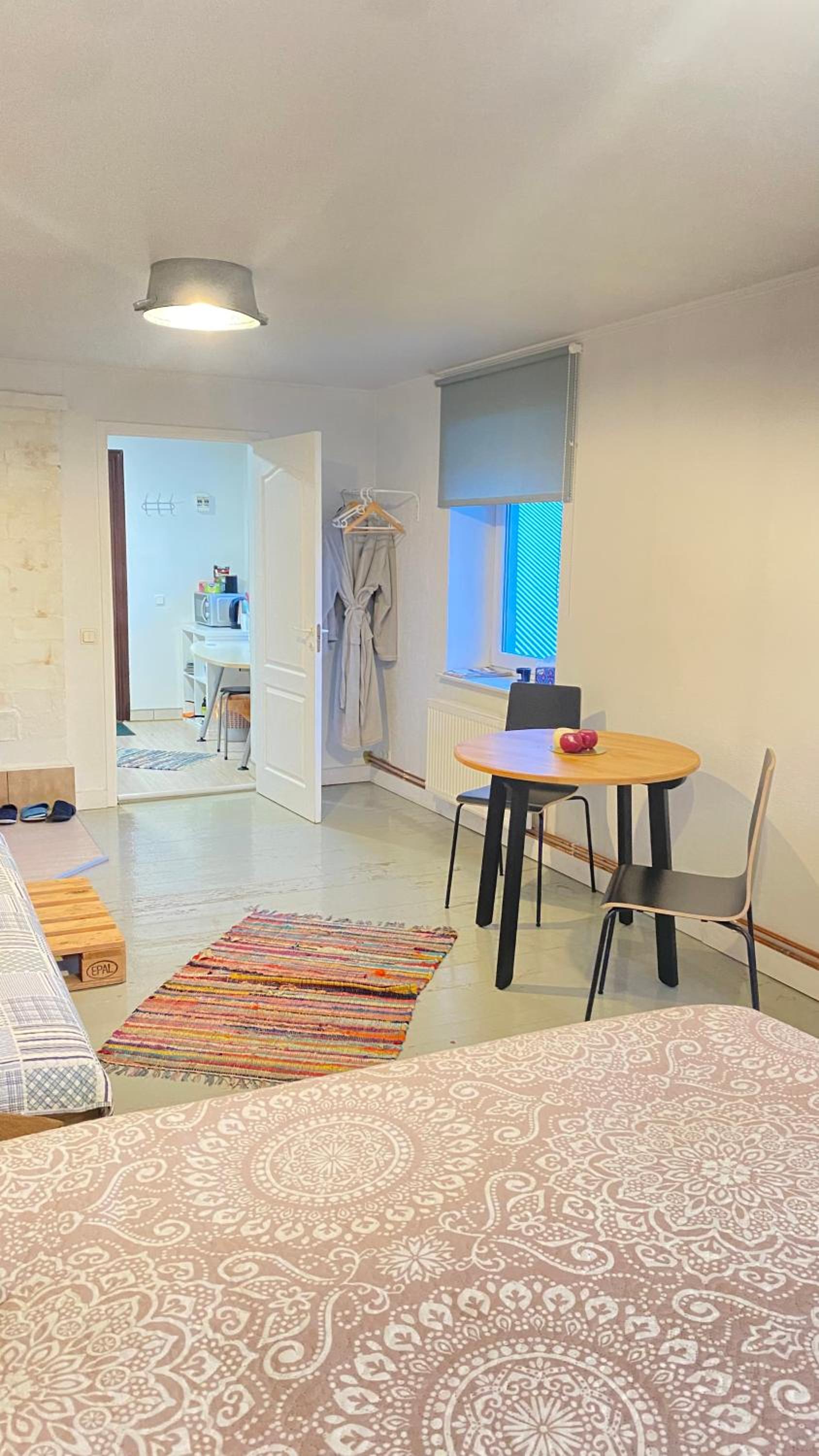 Piebalgas street apartment in Cesis view 2