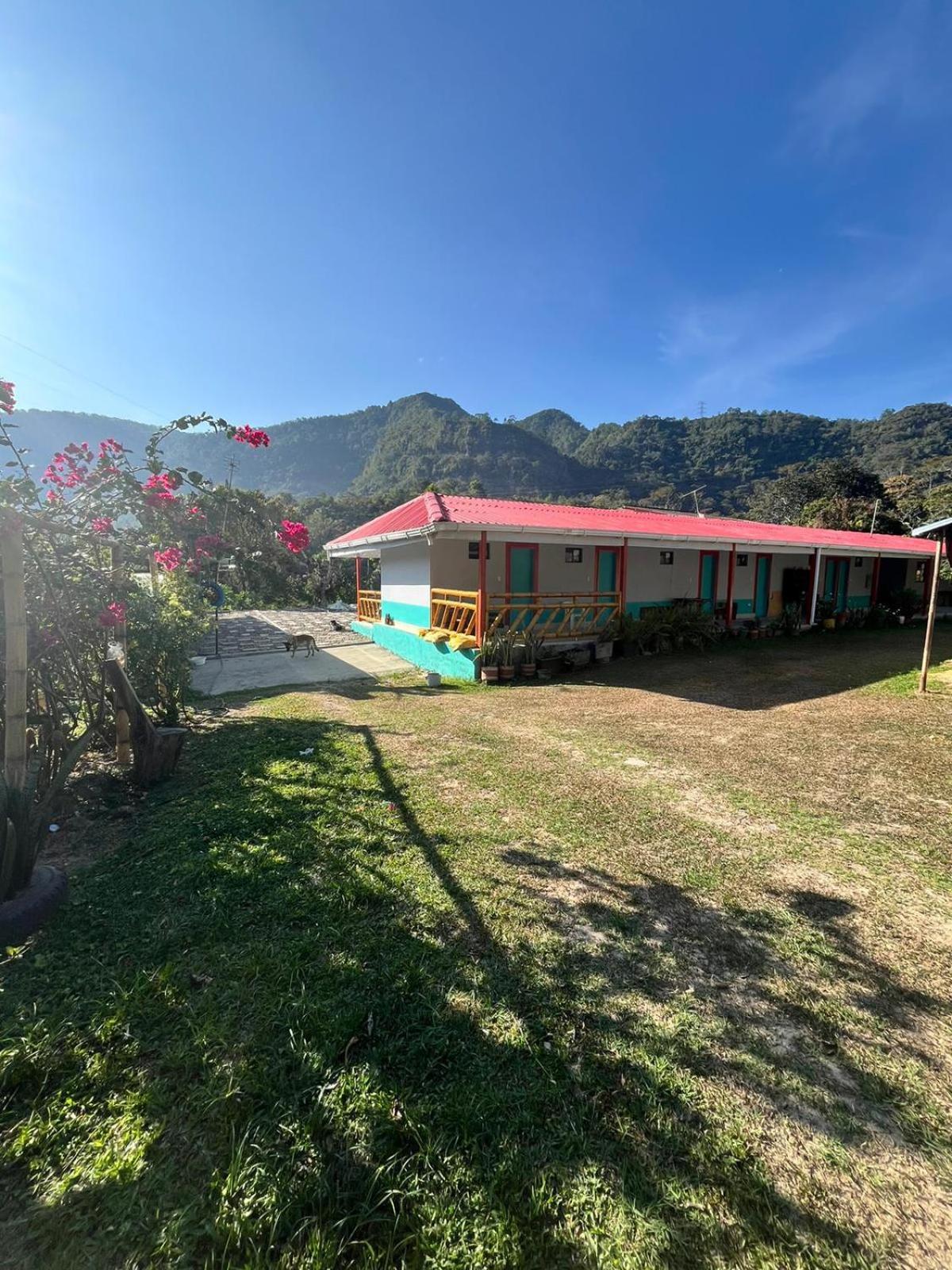 Posada Lili