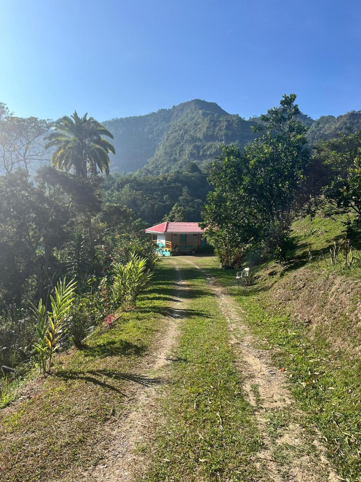 Posada Lili