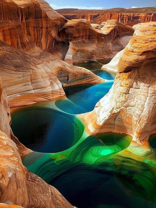 Horseshoe Bend, Antelope Canyon, Powell Oasis