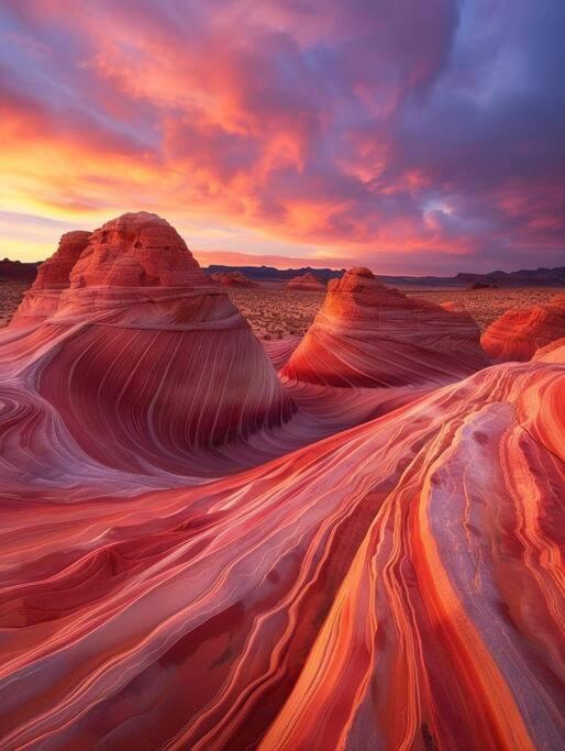 Horseshoe Bend, Antelope Canyon, Powell Oasis