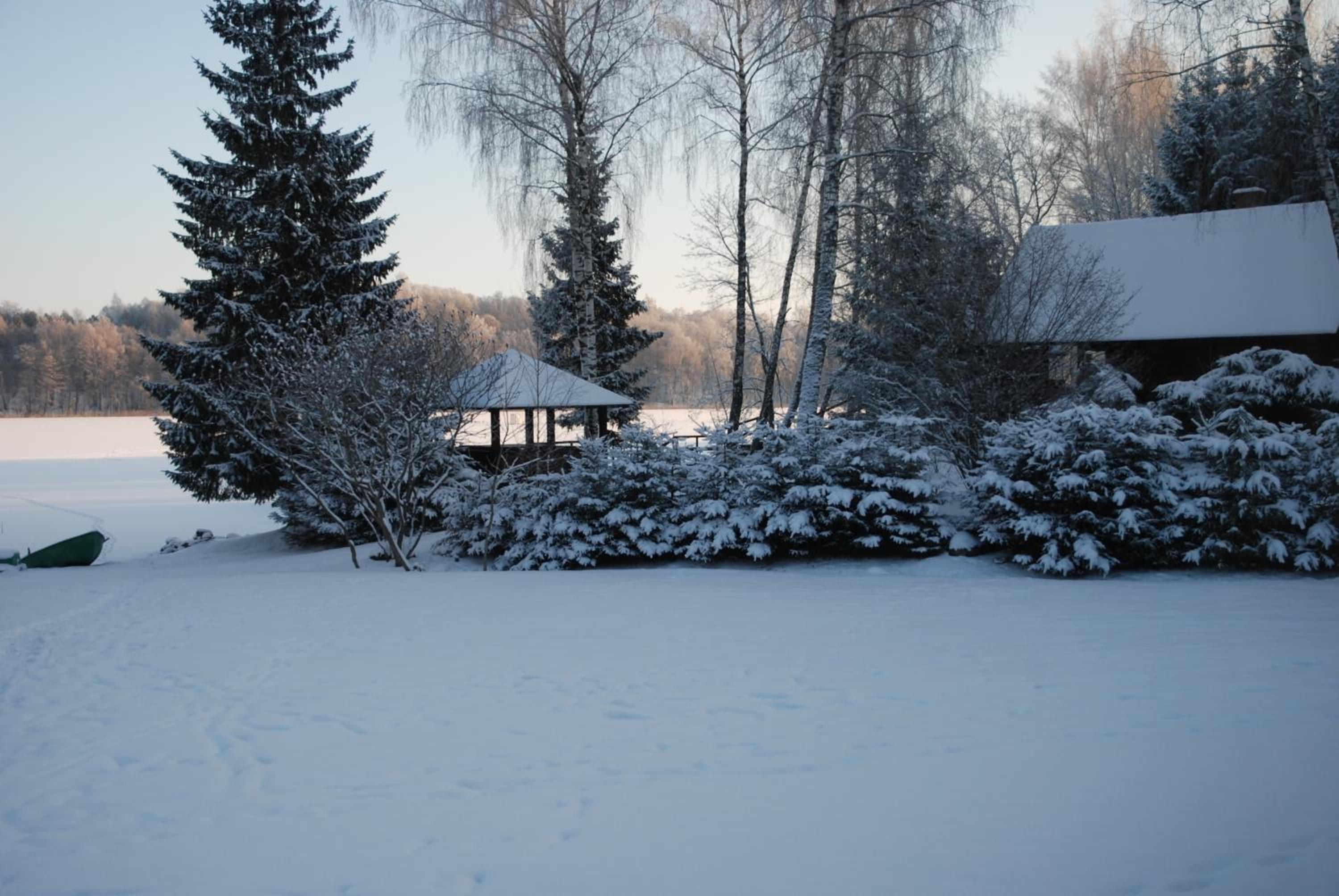 Photo 48