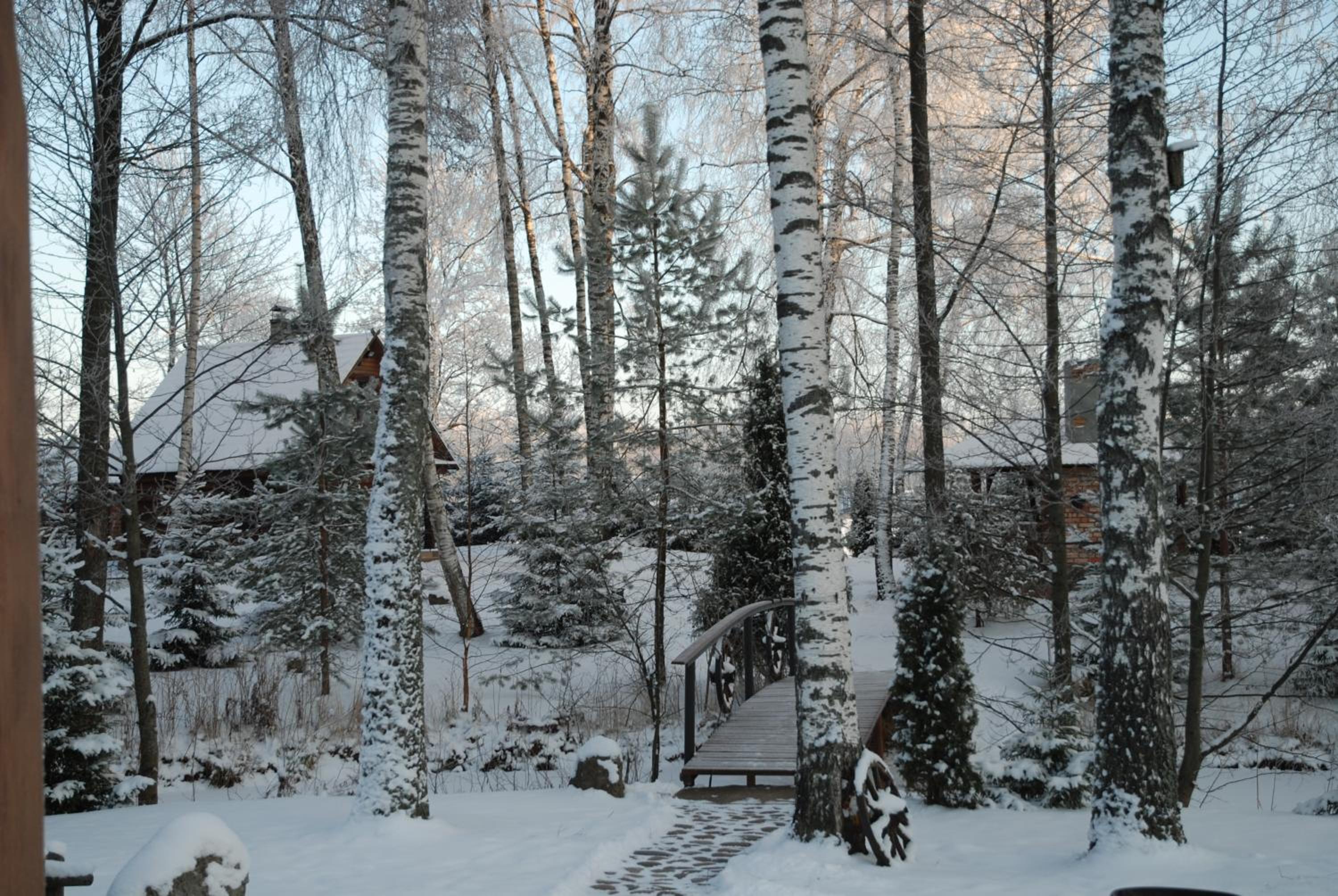 Photo 49