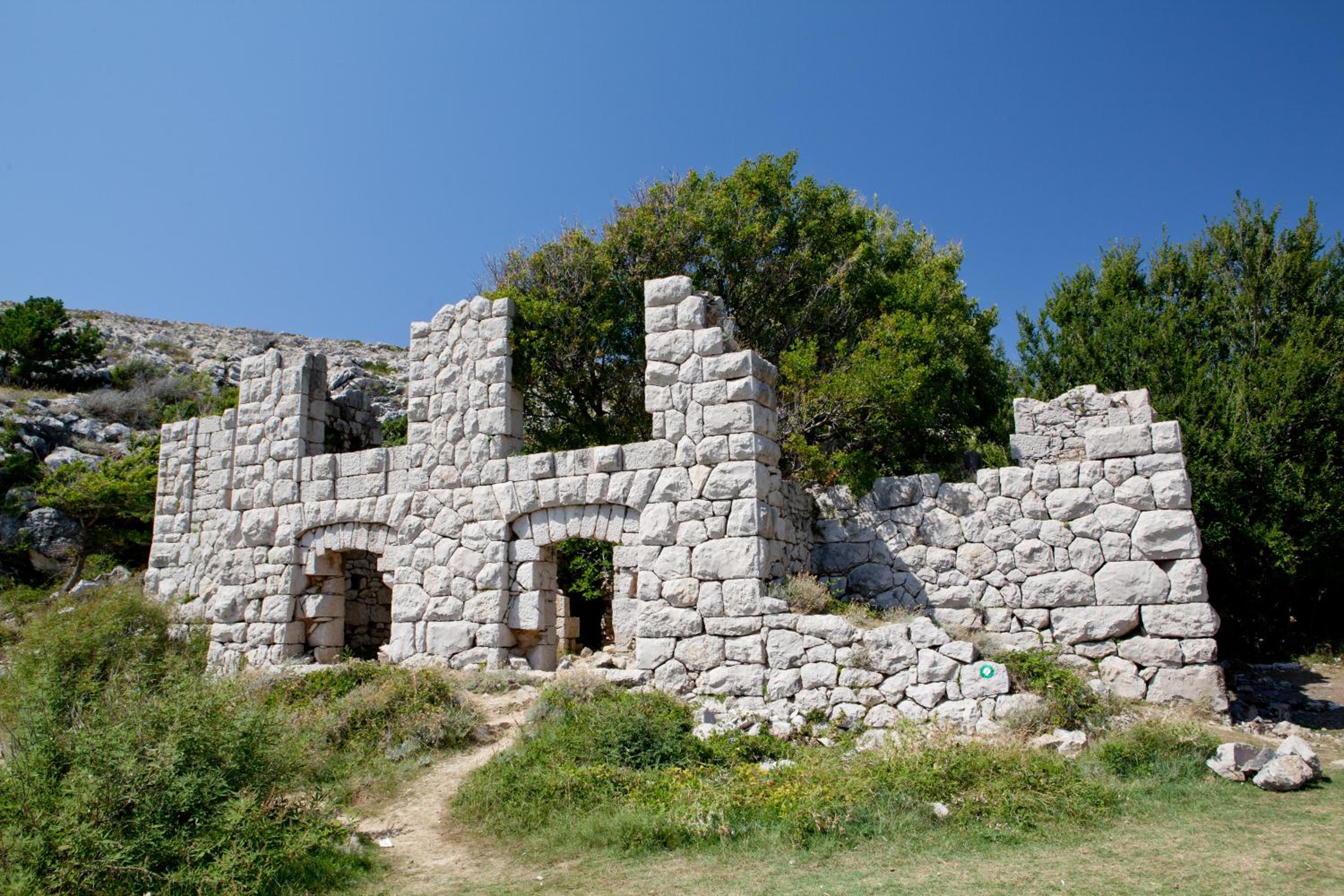 Photo 46