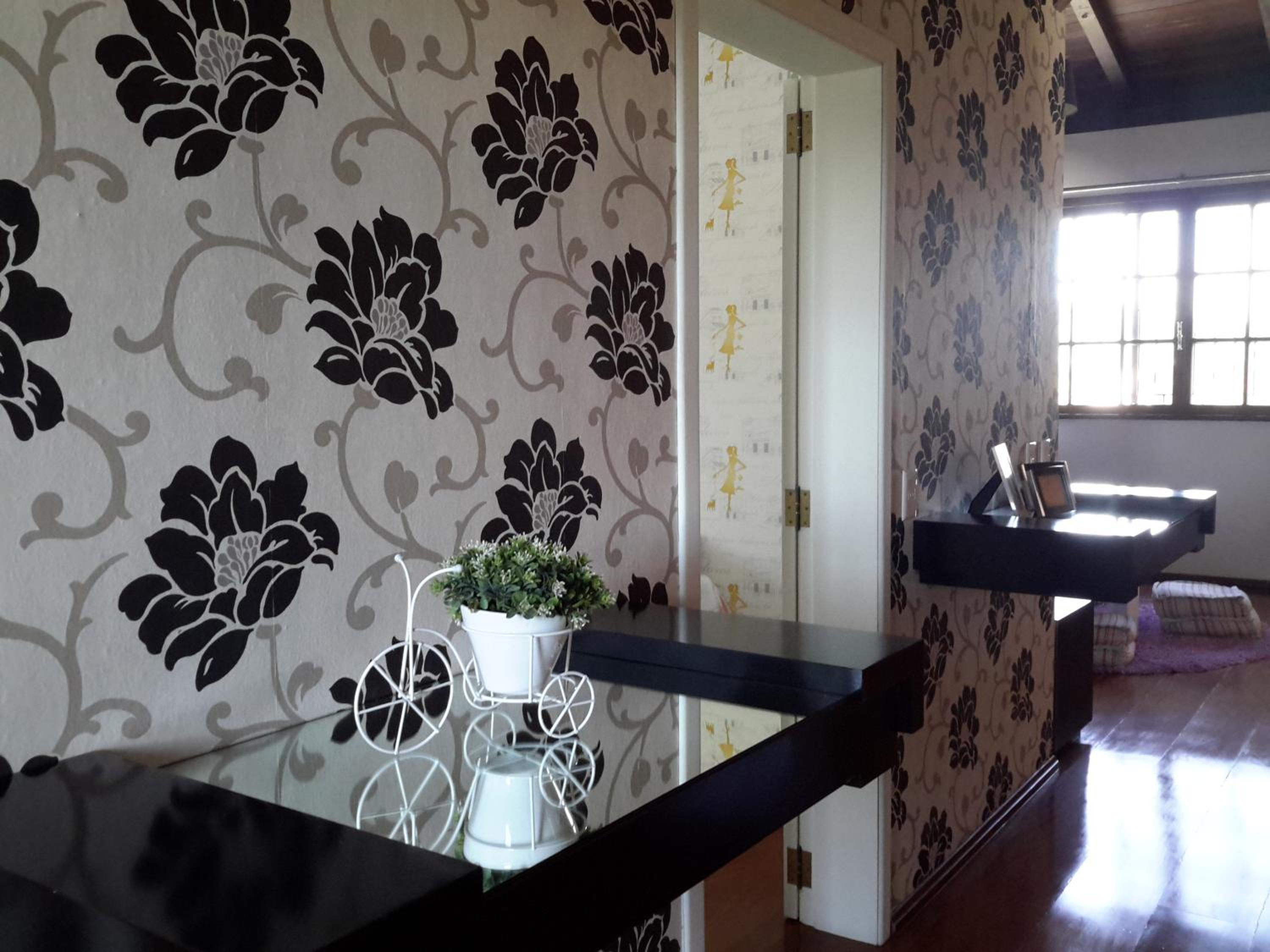 Photo 113