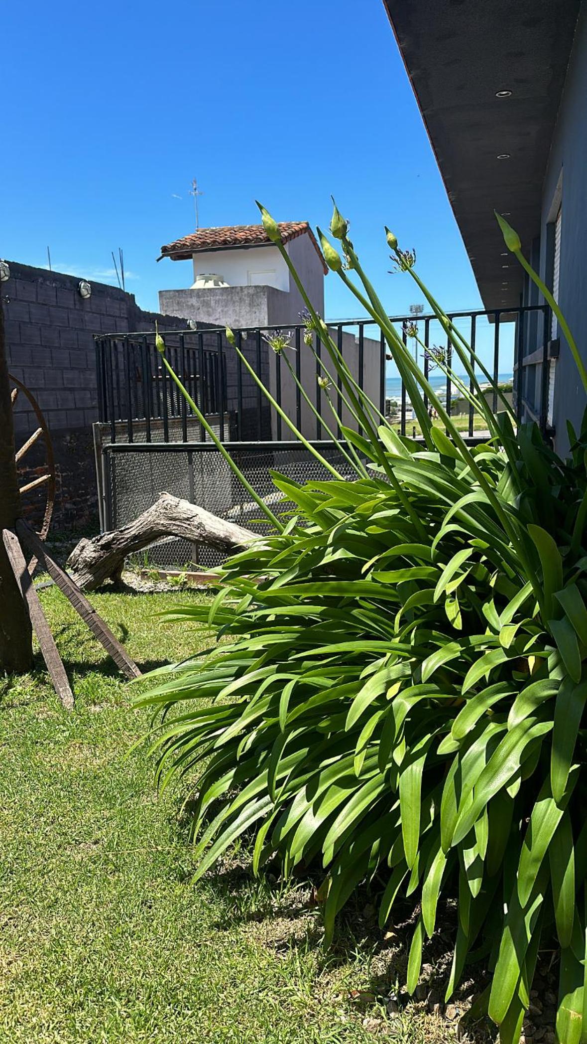 Ohana Departamentos