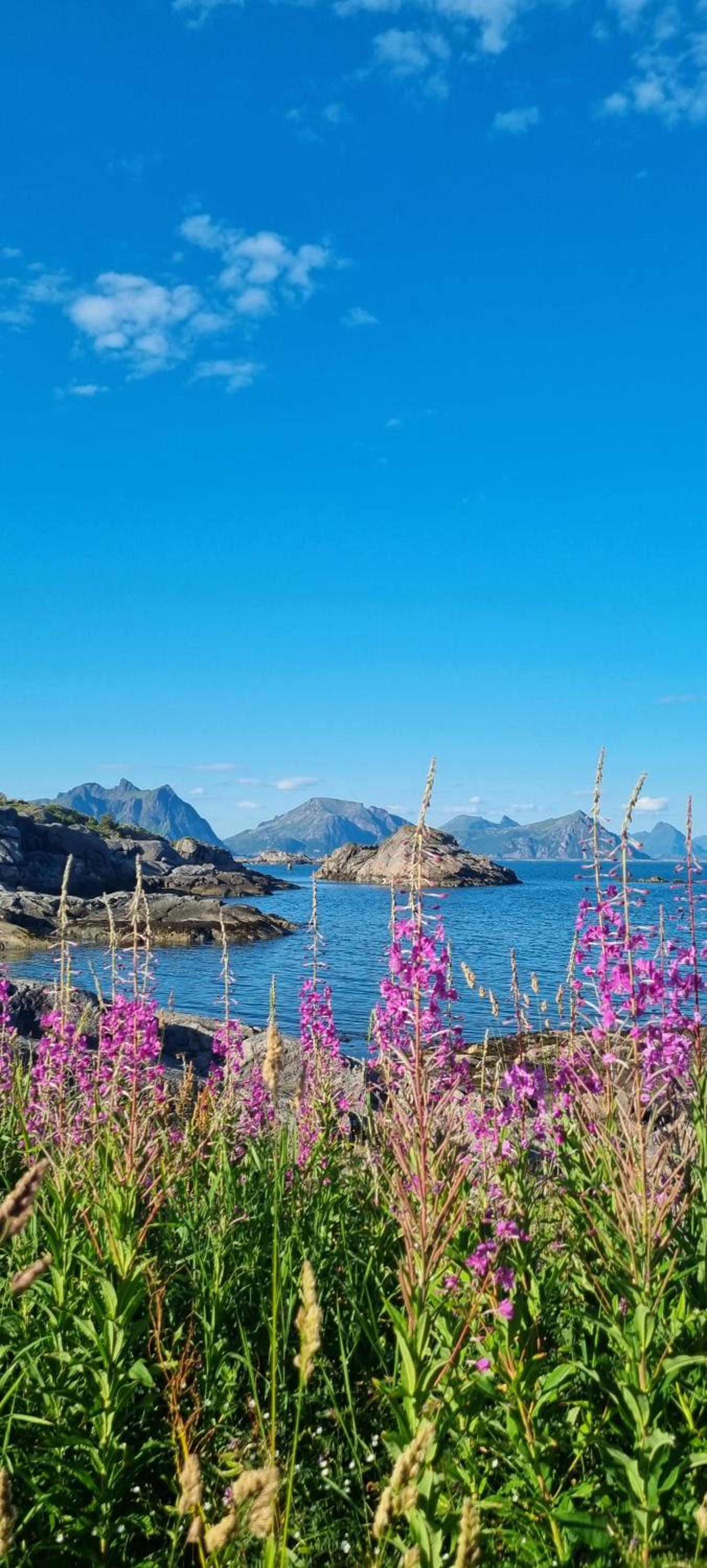 Huset i Stamsund view 3